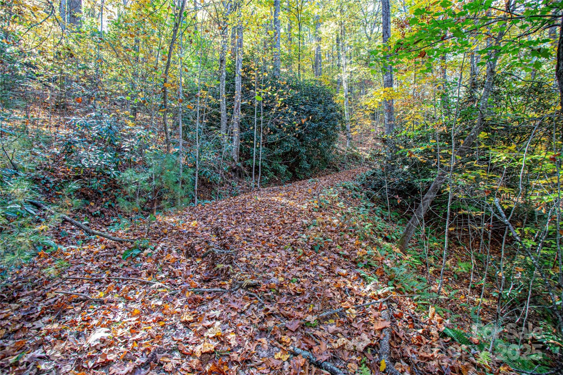 TBD Reserve Road #9A - Photo 8