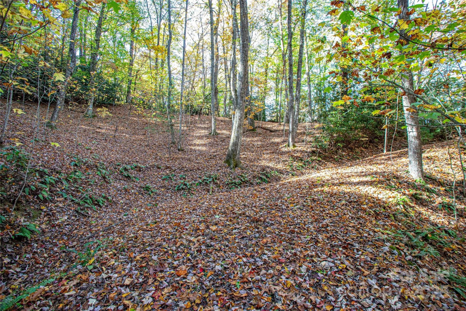 TBD Reserve Road #9A - Photo 10