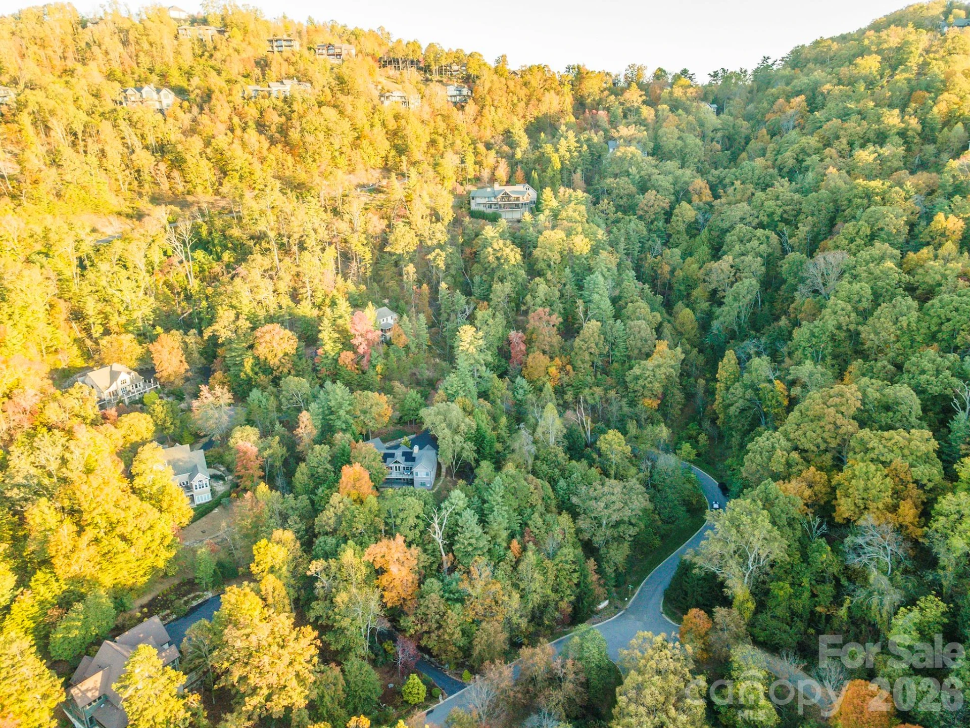 510 Sweetspire Ridge - Photo 12