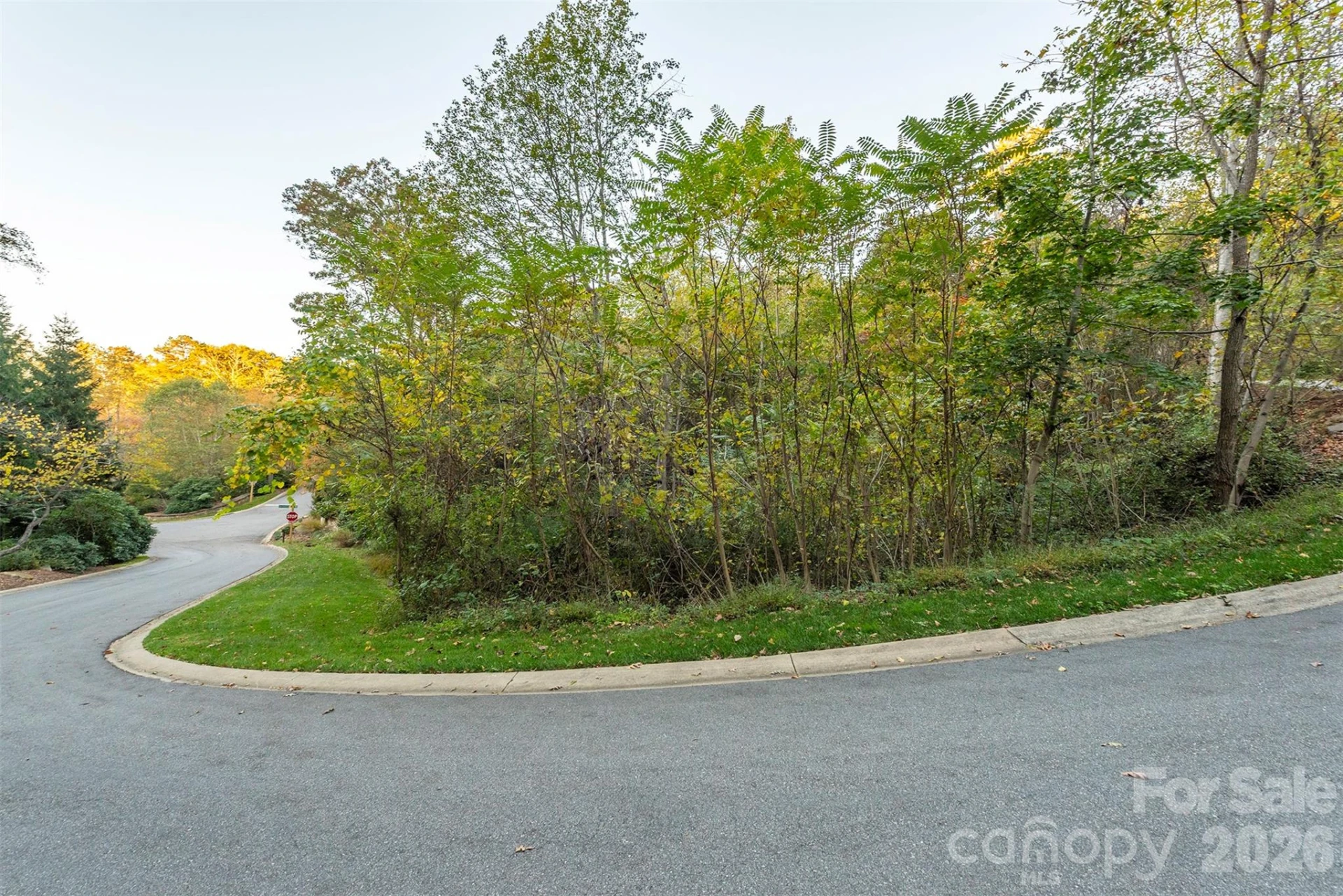 510 Sweetspire Ridge - Photo 15