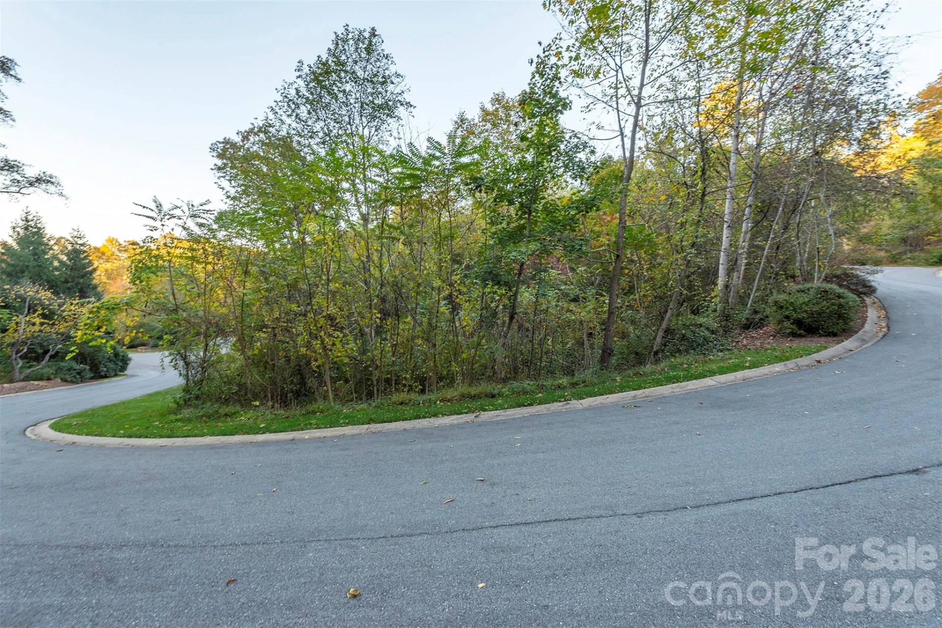 510 Sweetspire Ridge - Photo 17