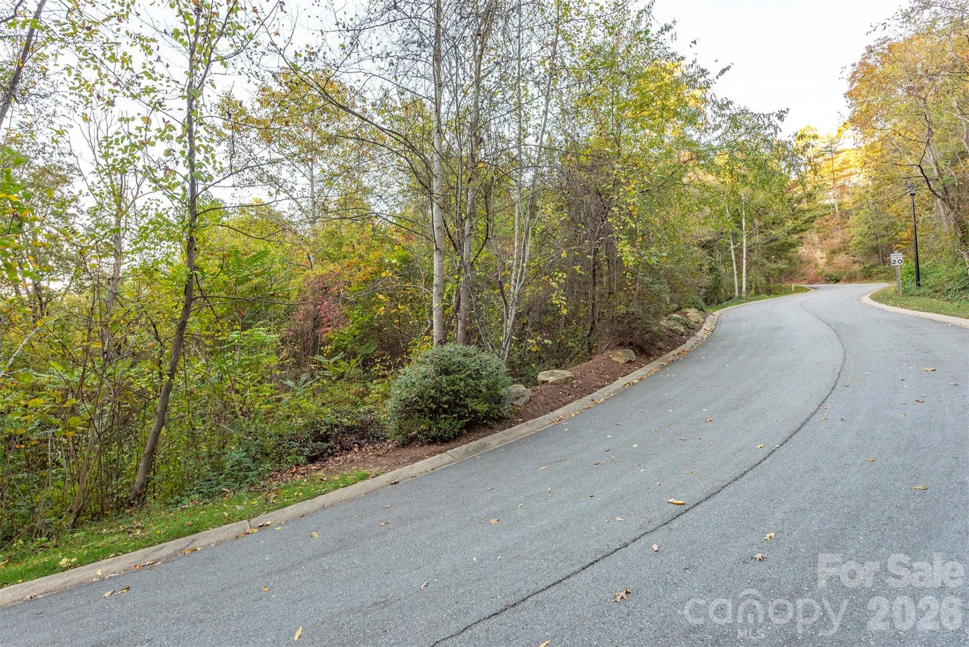 510 Sweetspire Ridge - Photo 18