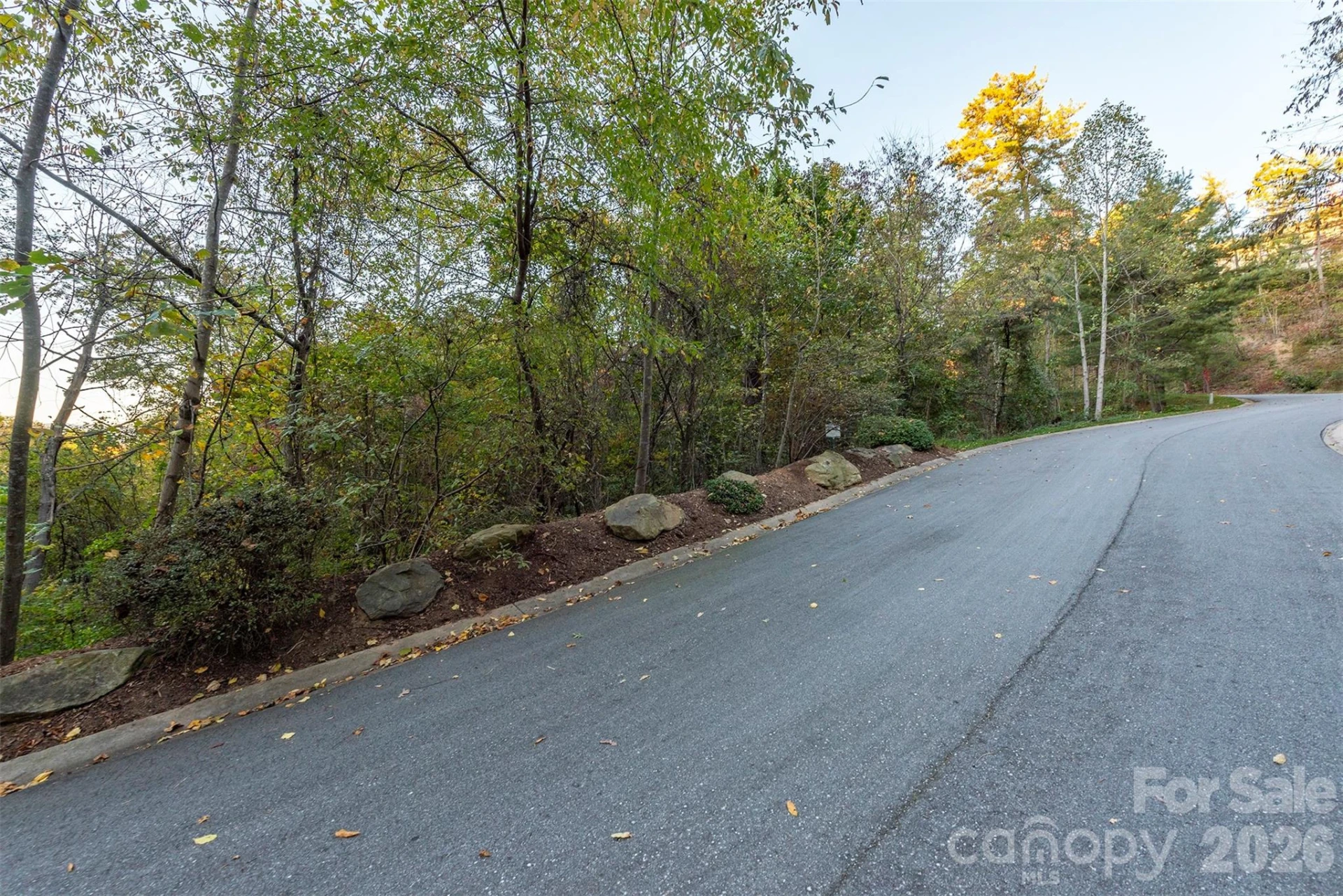 510 Sweetspire Ridge - Photo 20