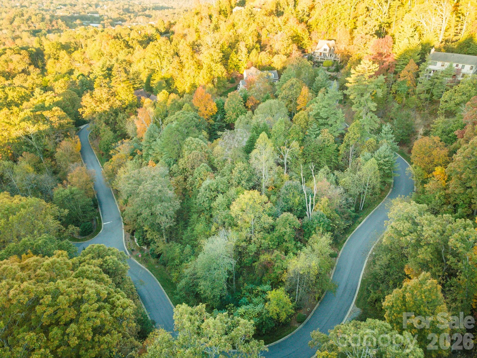510 Sweetspire Ridge - Photo 7
