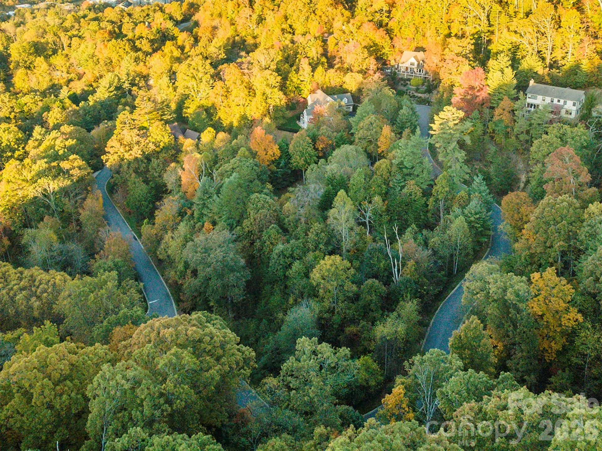 510 Sweetspire Ridge - Photo 9
