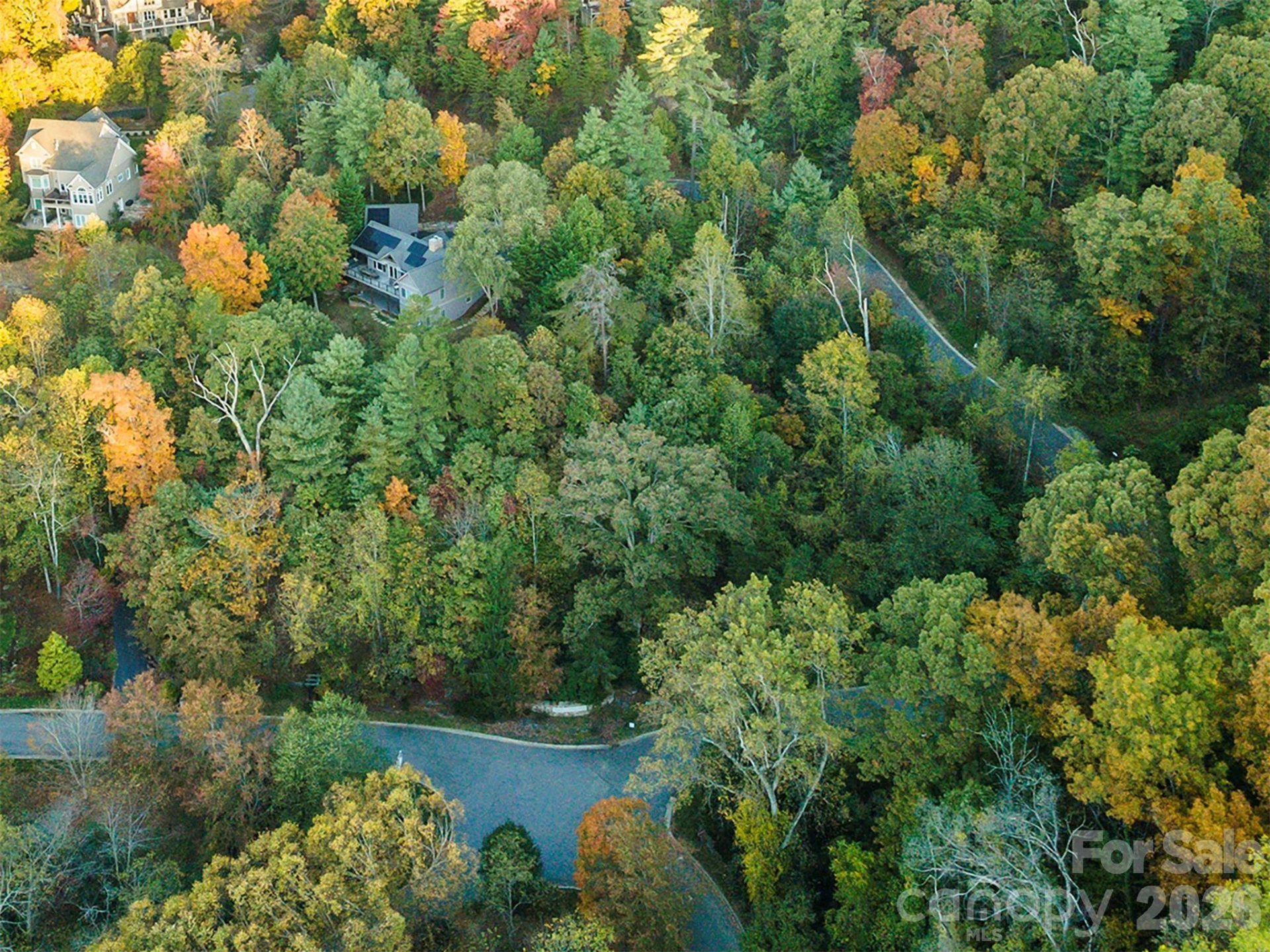 510 Sweetspire Ridge - Photo 11