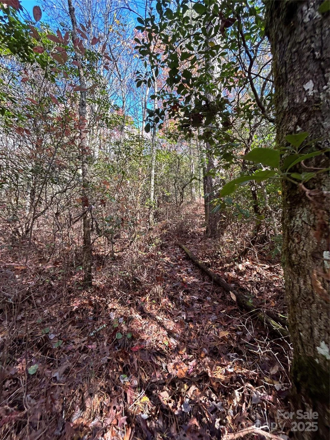 Lot 3 and 4 Oriole Road - Photo 3