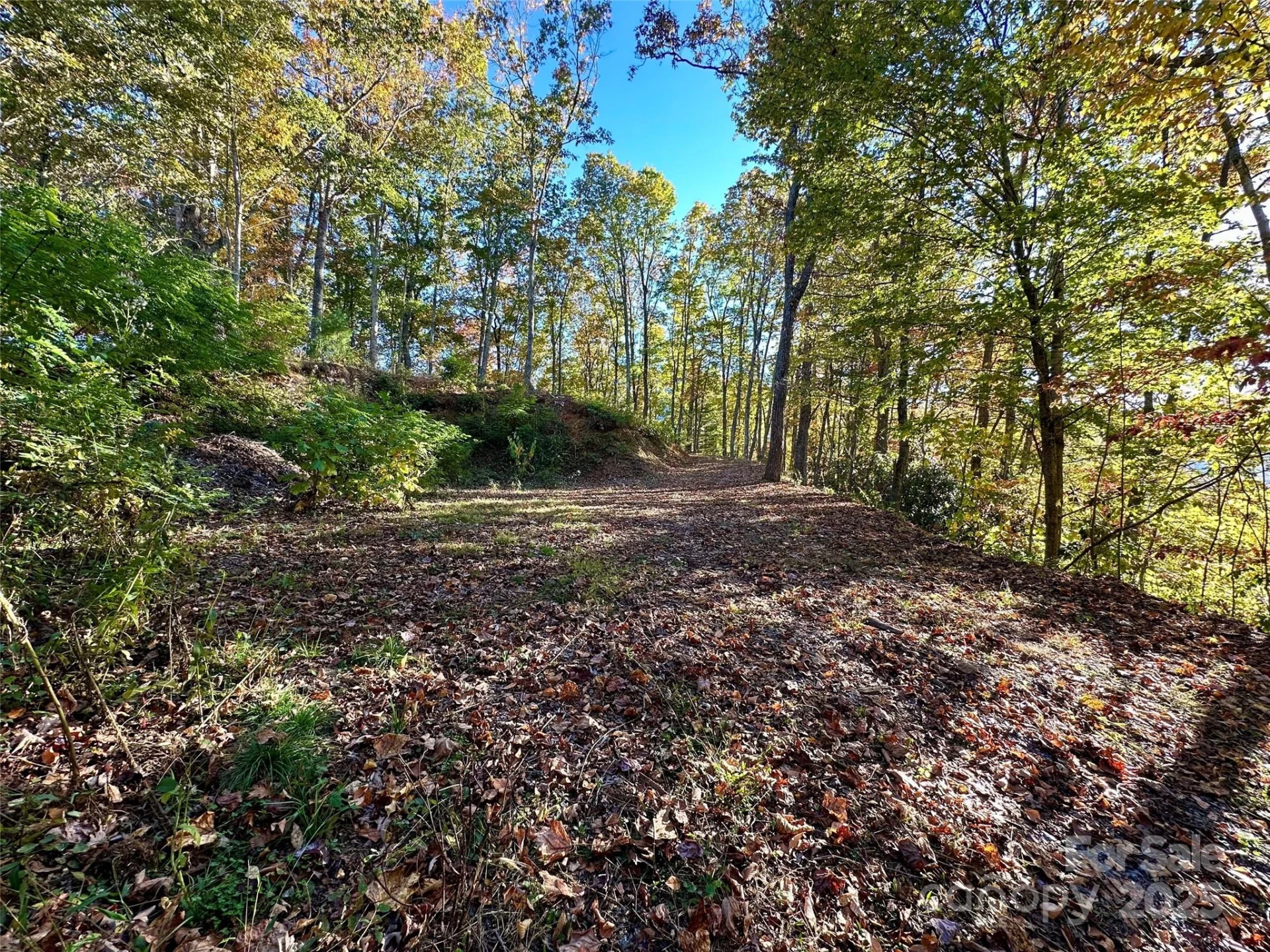 534 Cicada Drive - Photo 12