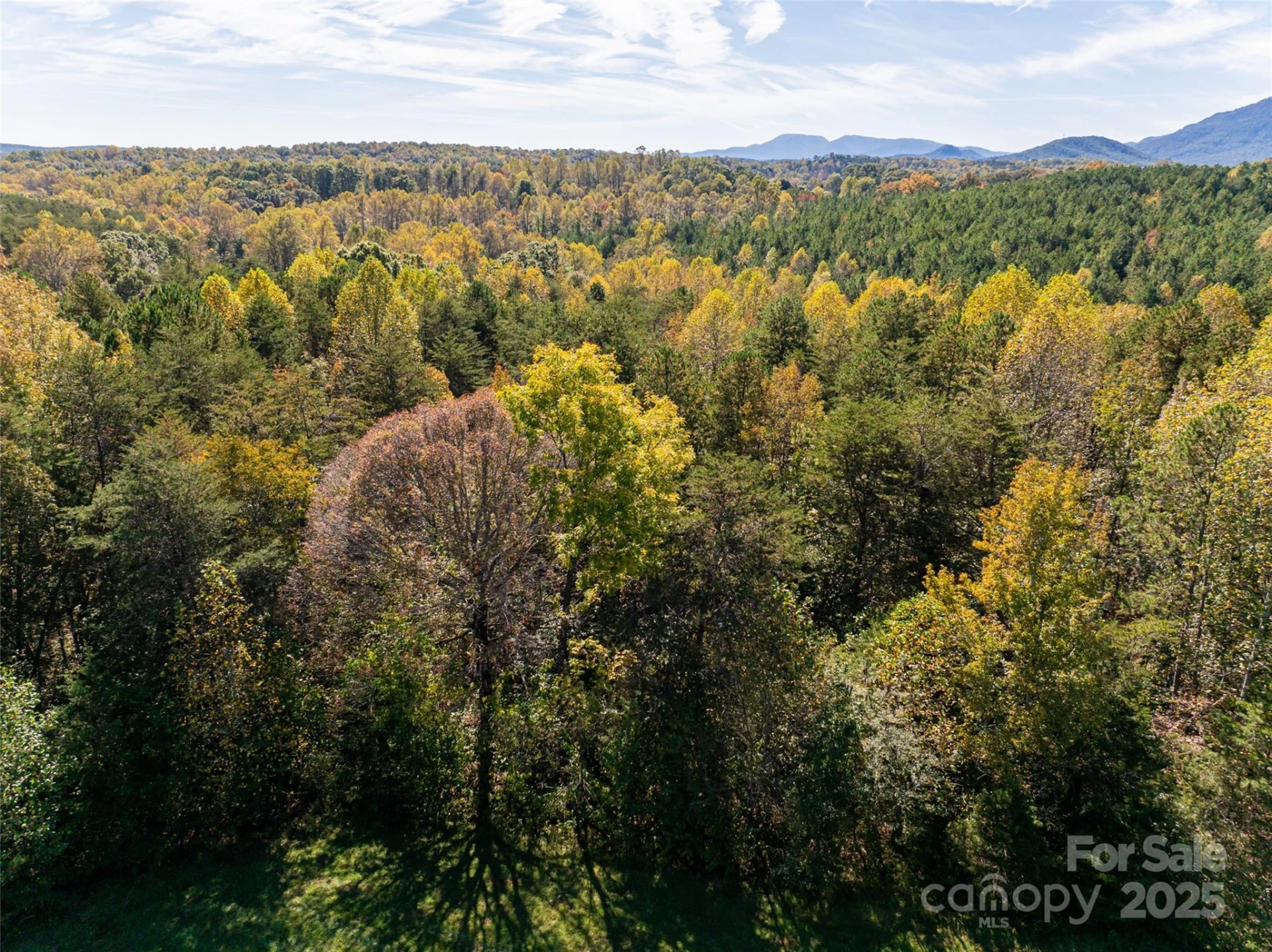 00000 A R Thompson Road #27 - Photo 10