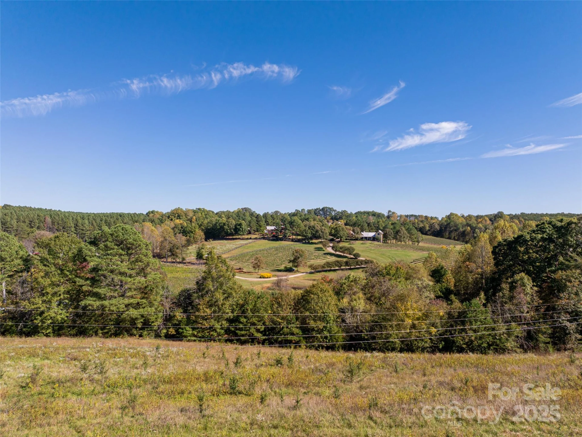 0 E NC Hwy 108 None #Lot 55 - Photo 9