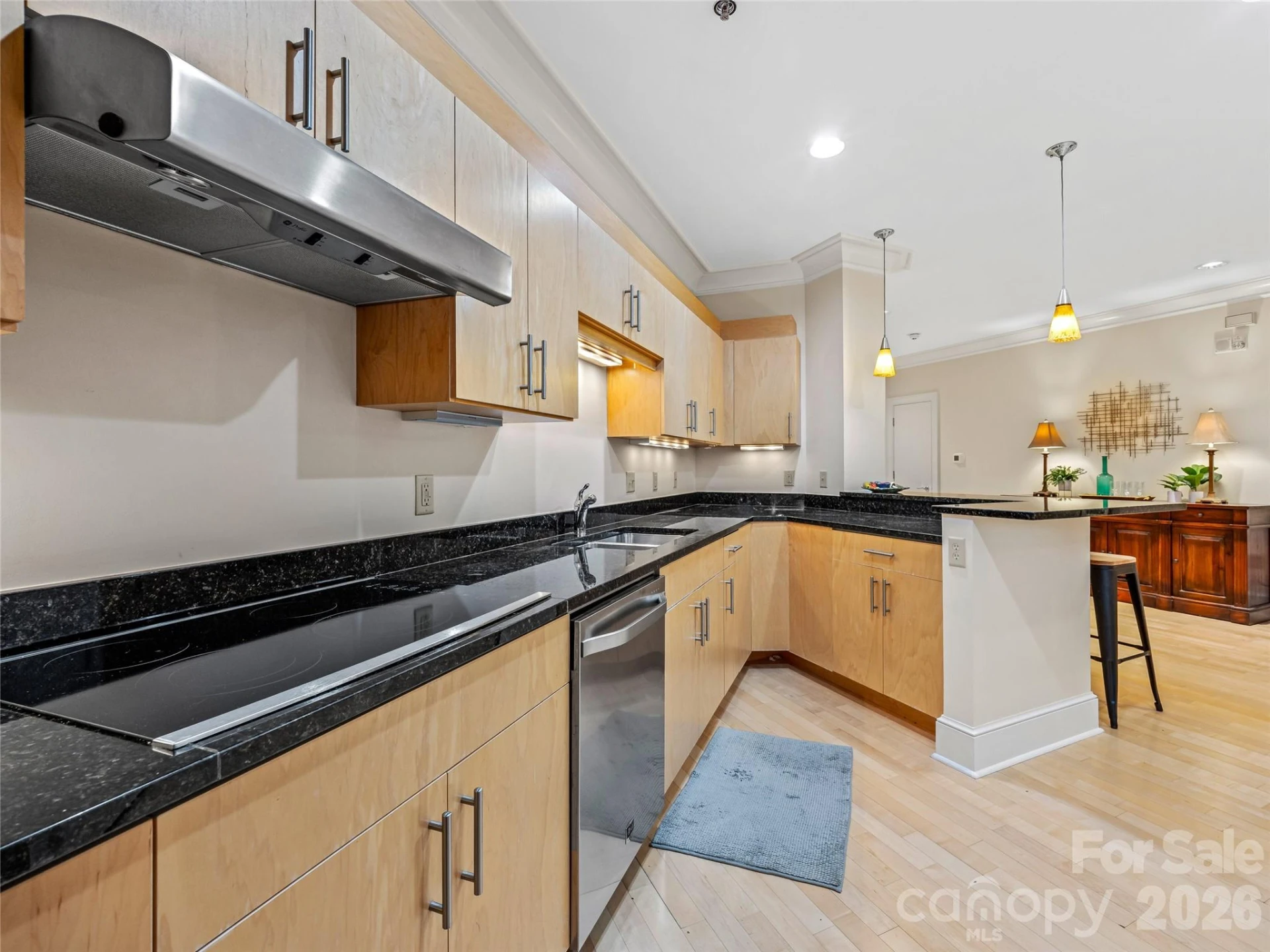 21 Battery Park Avenue #308 - Photo 6