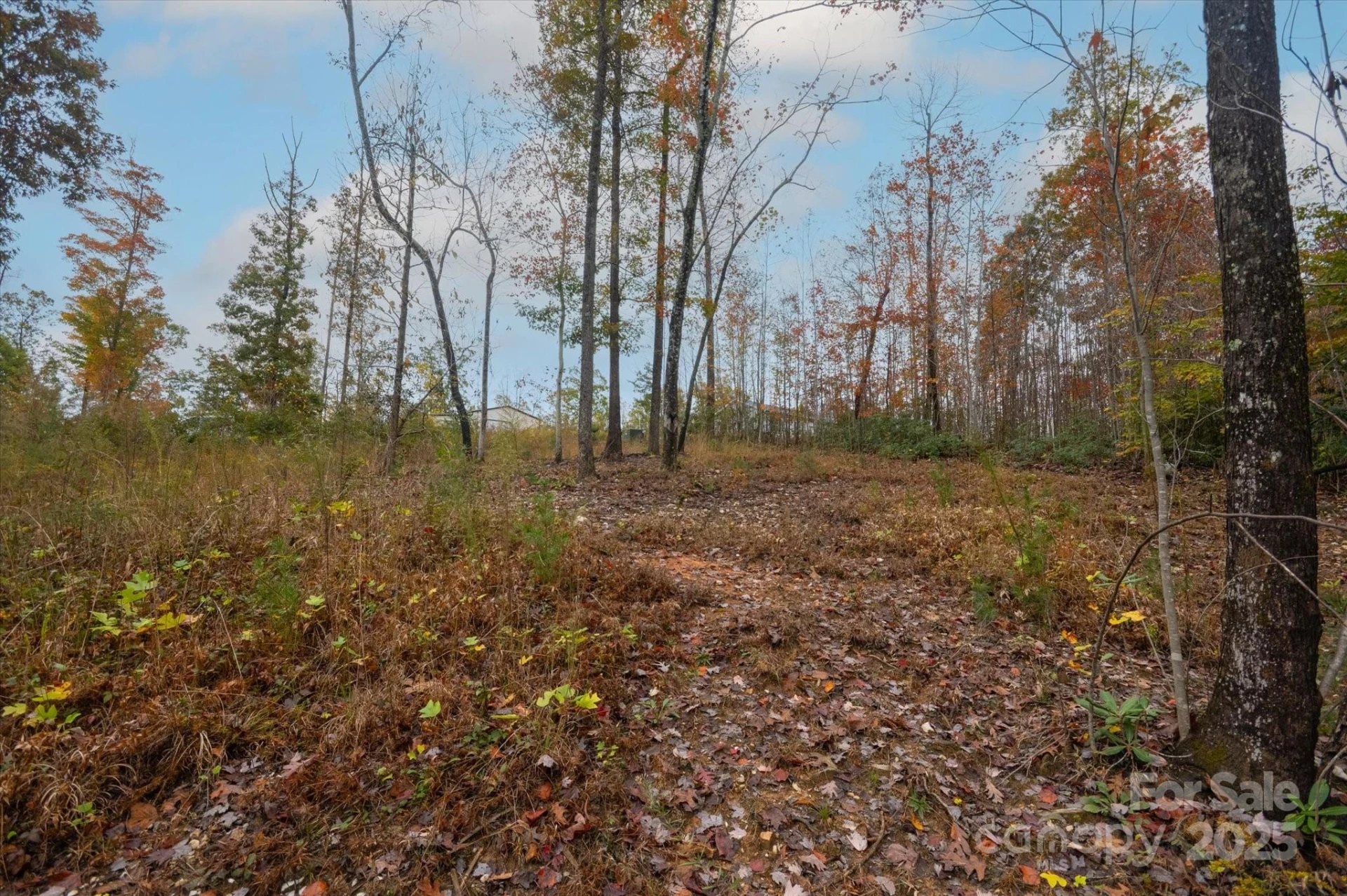 269 Mooseheart Road - Photo 2