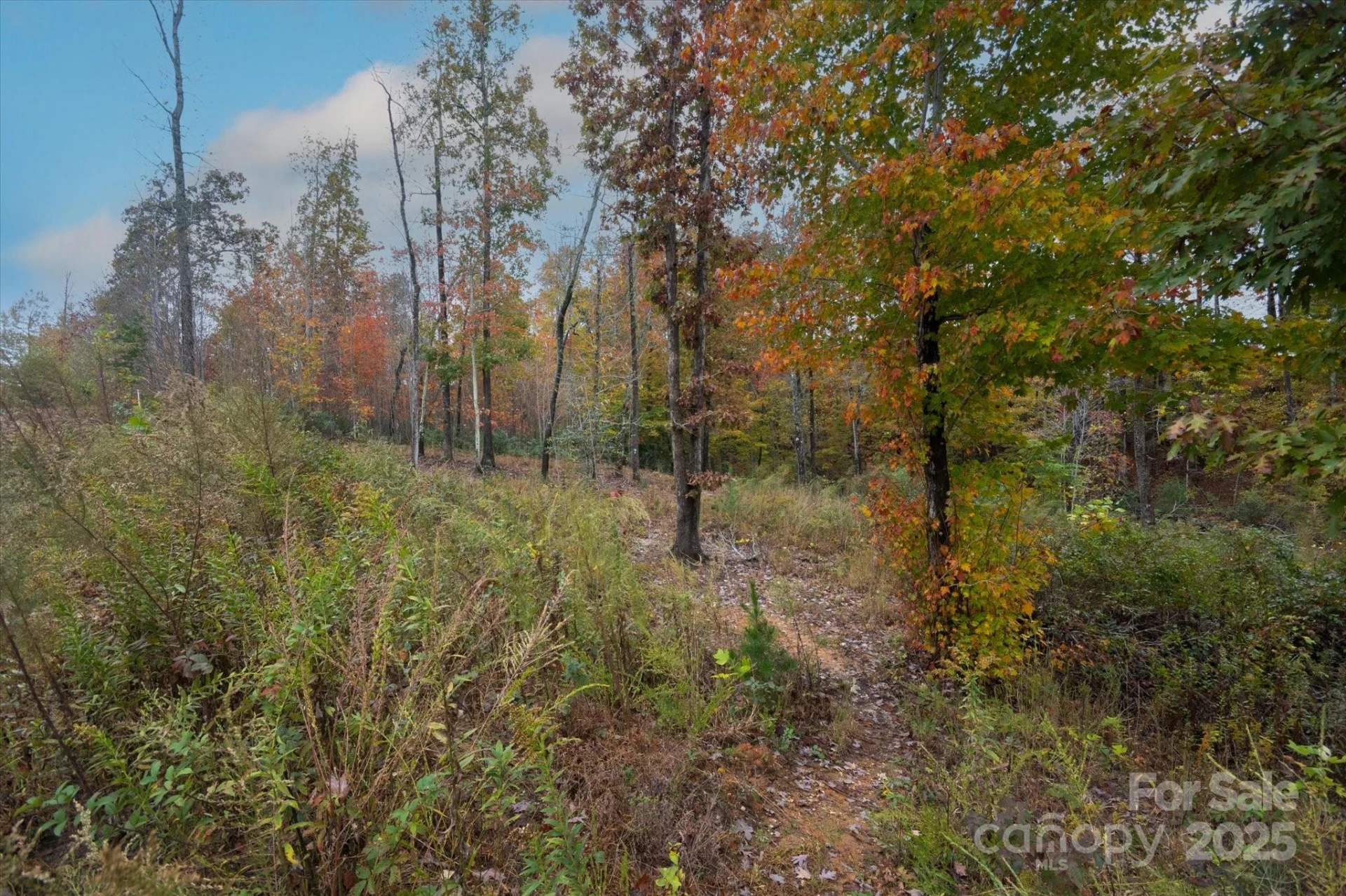 269 Mooseheart Road - Photo 8