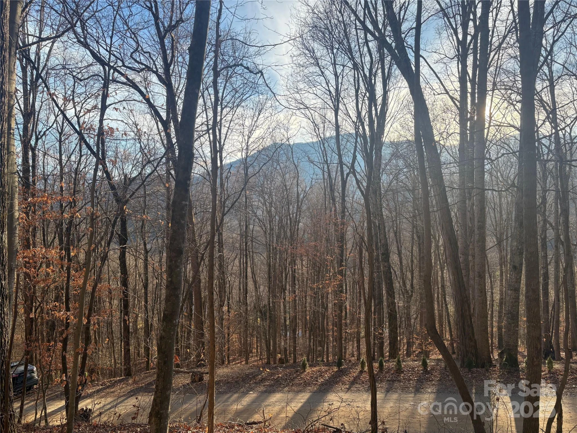 899 Hyacinth Drive - Photo 12