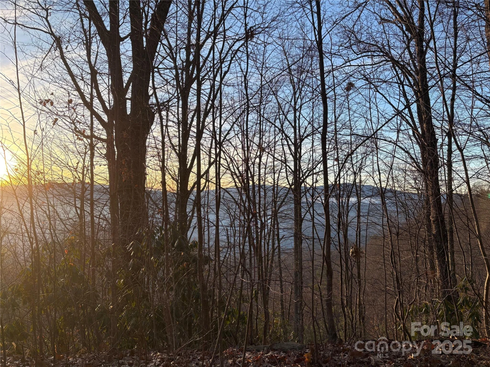899 Hyacinth Drive - Photo 13