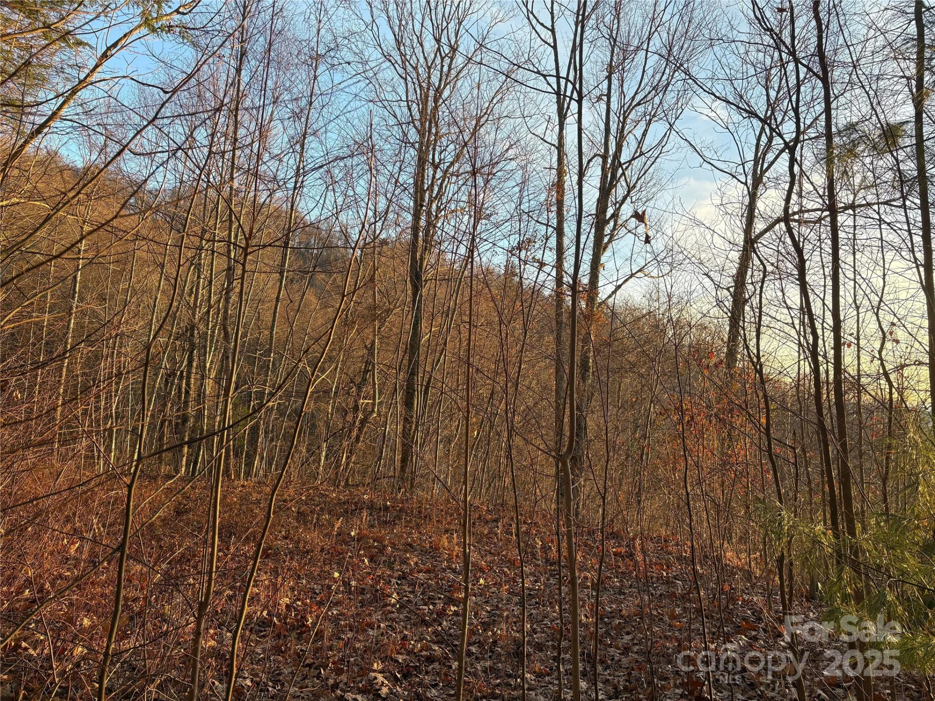 899 Hyacinth Drive - Photo 21
