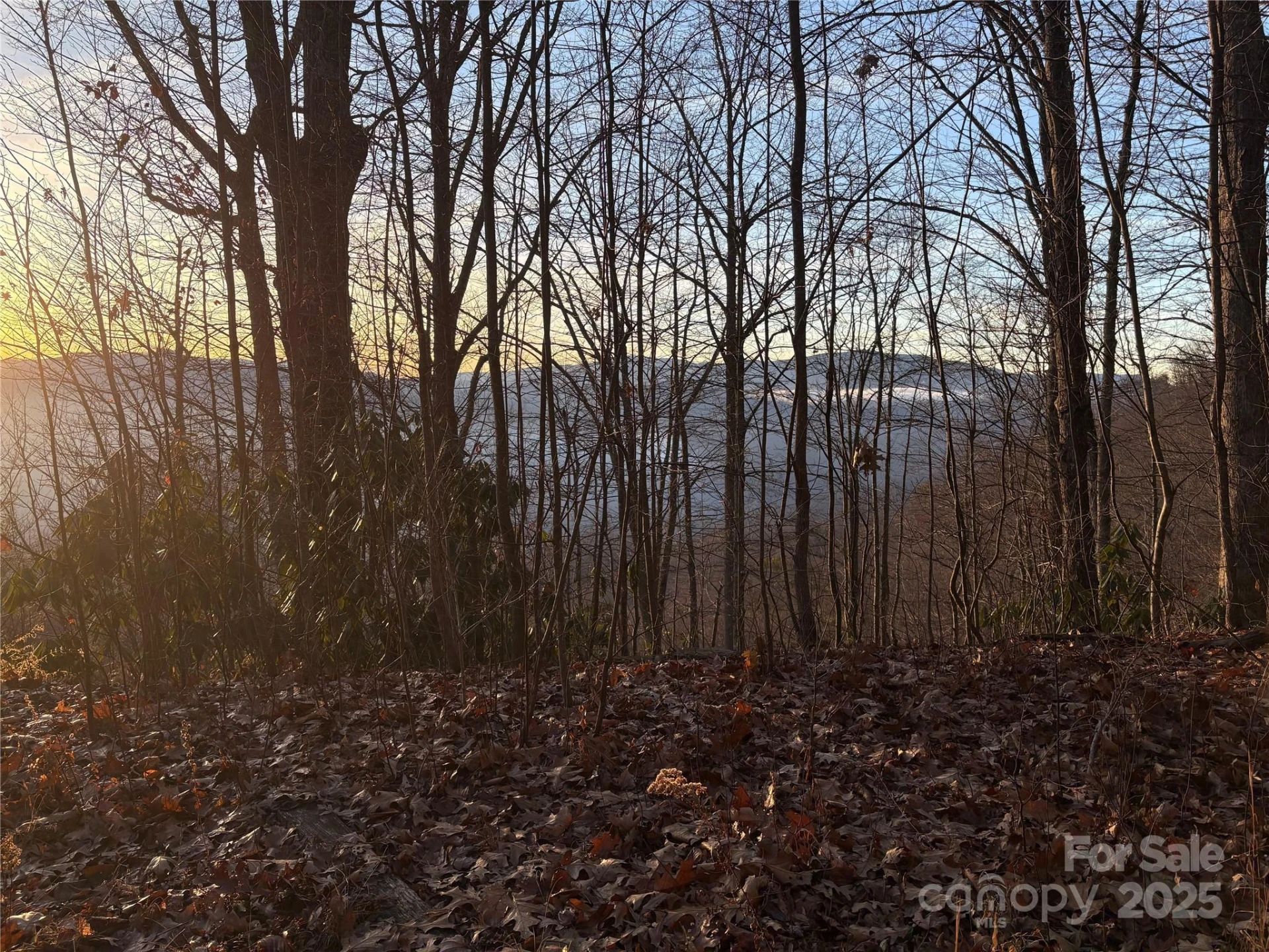 899 Hyacinth Drive - Photo 5
