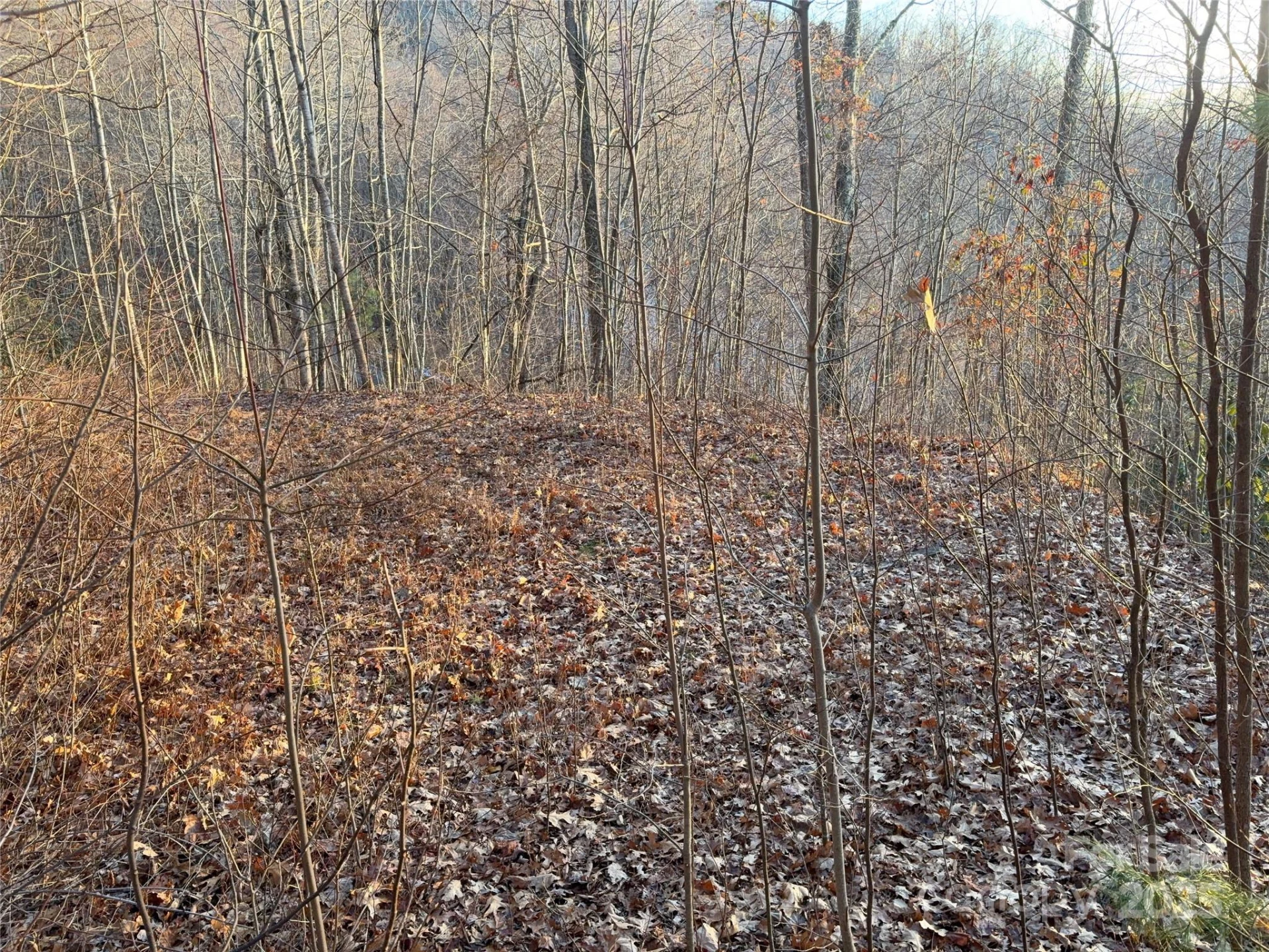 899 Hyacinth Drive - Photo 7