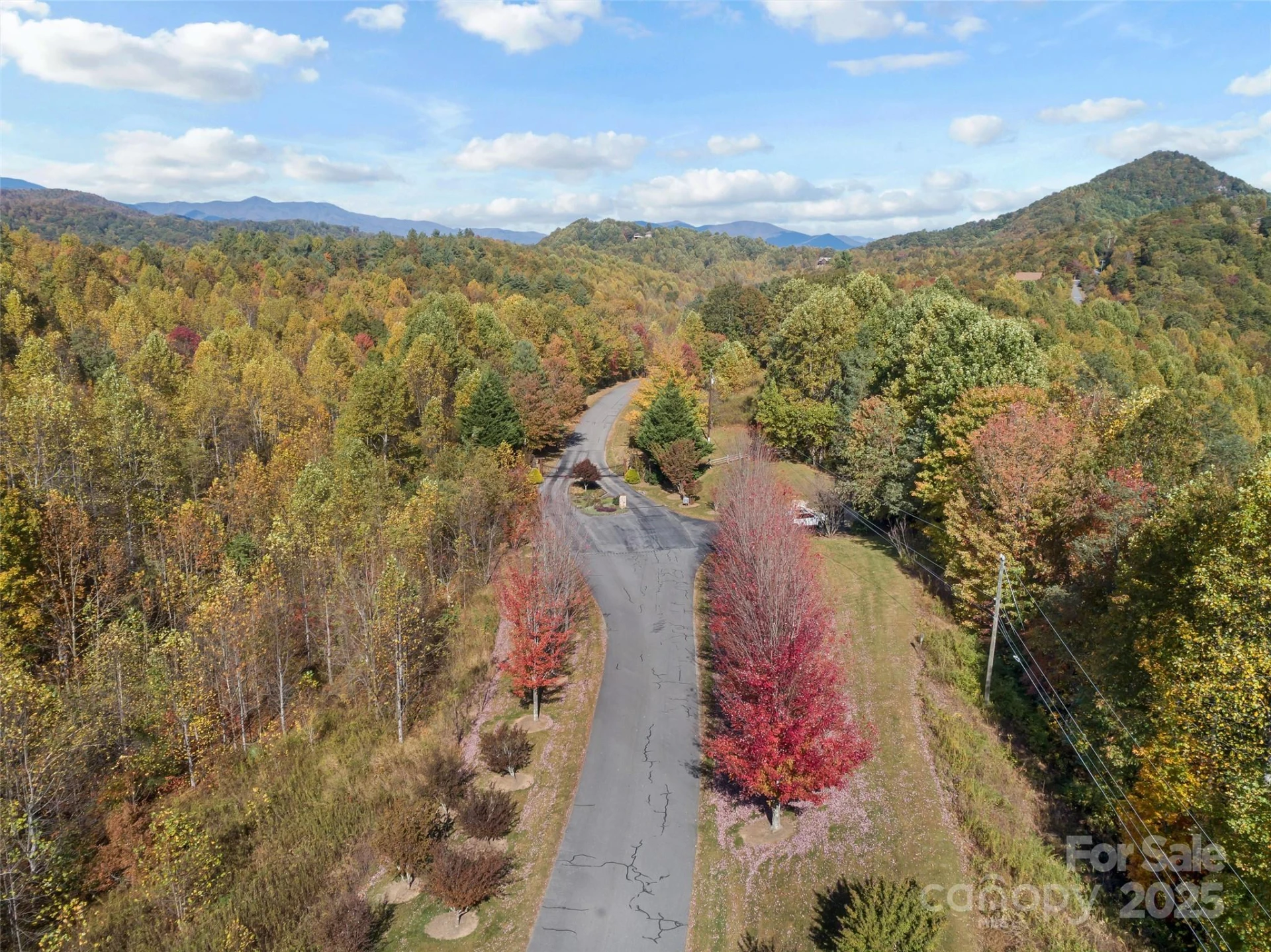 38 Attica Falls Trail - Photo 2