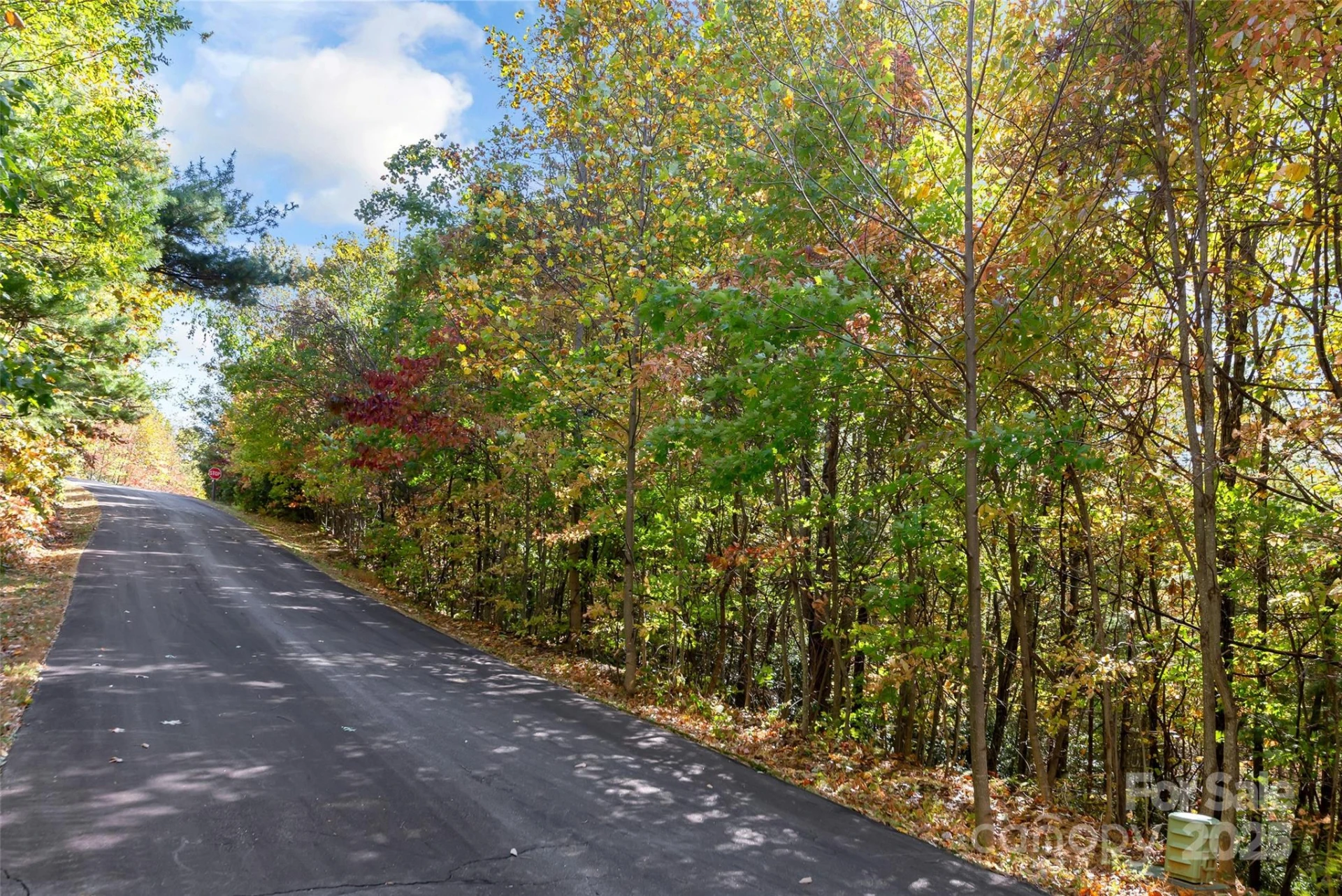 38 Attica Falls Trail - Photo 13