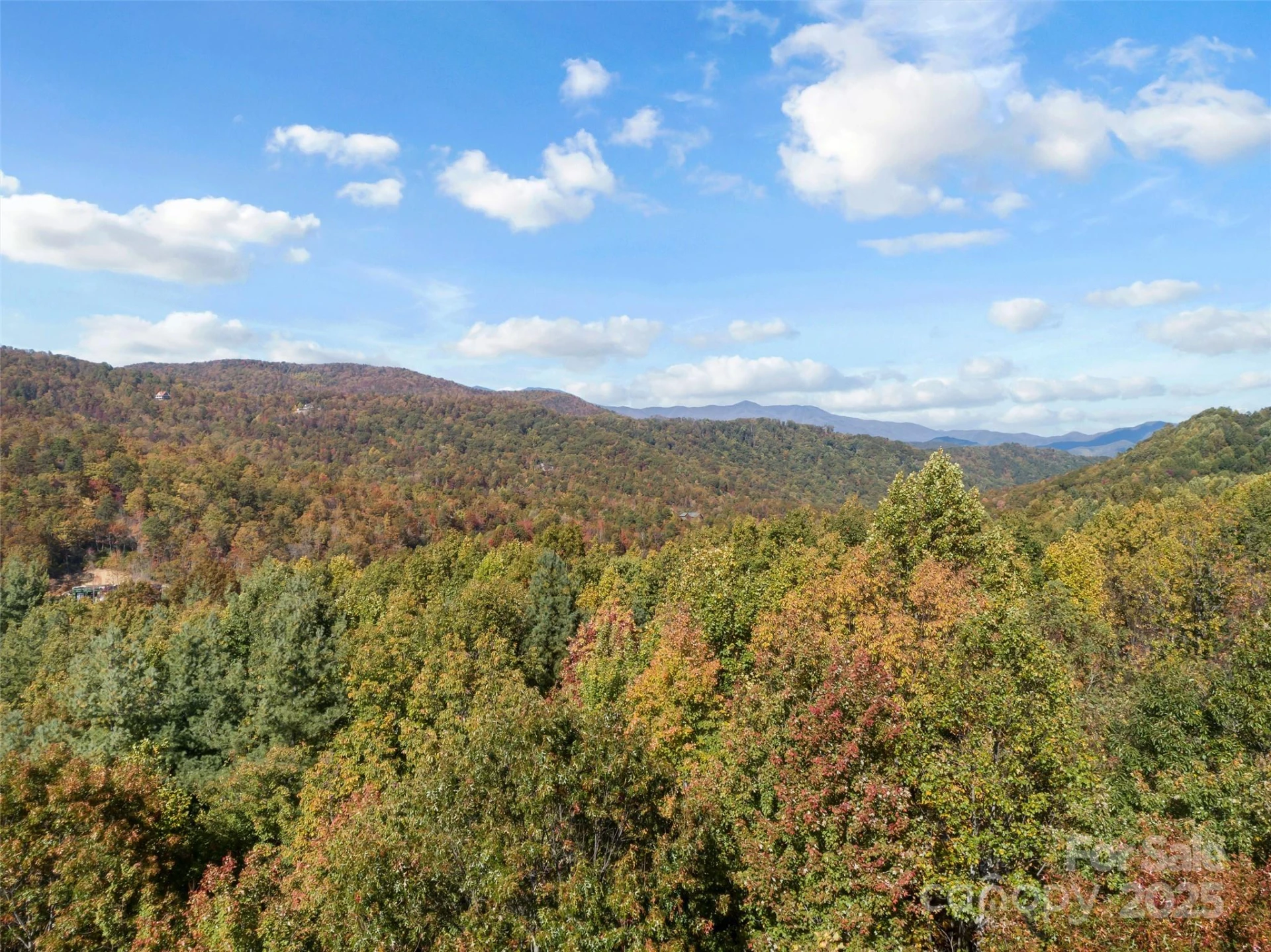 38 Attica Falls Trail - Photo 15