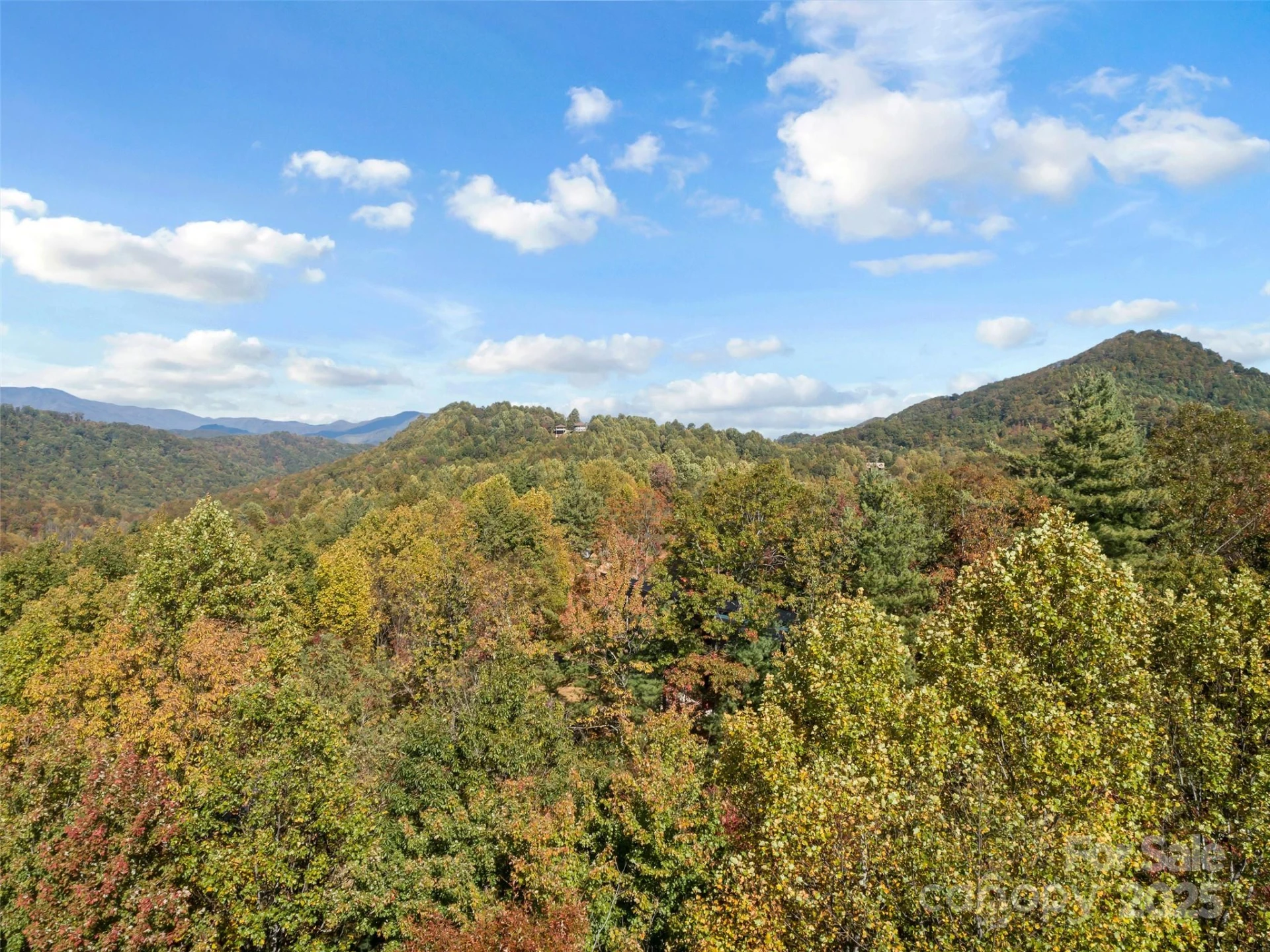 38 Attica Falls Trail - Photo 16
