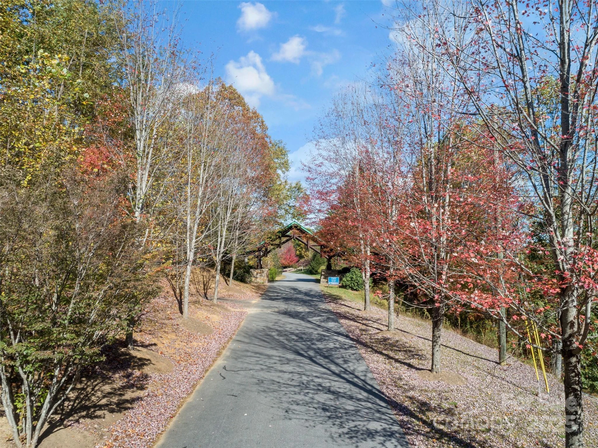 38 Attica Falls Trail - Photo 3