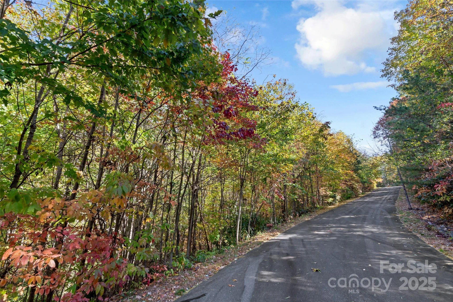 38 Attica Falls Trail - Photo 8