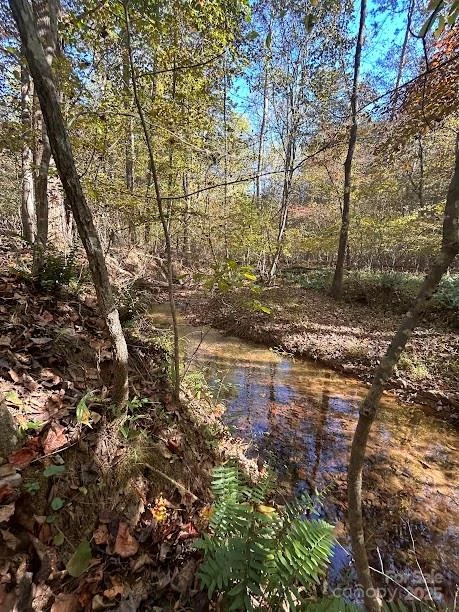 TBD Cross Creek Drive #140 - Photo 2