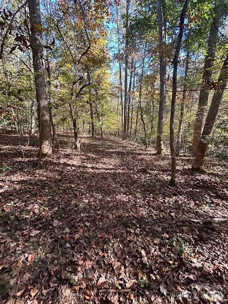 TBD Cross Creek Drive #140 - Photo 3