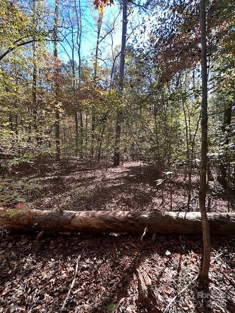 TBD Cross Creek Drive #140 - Photo 4