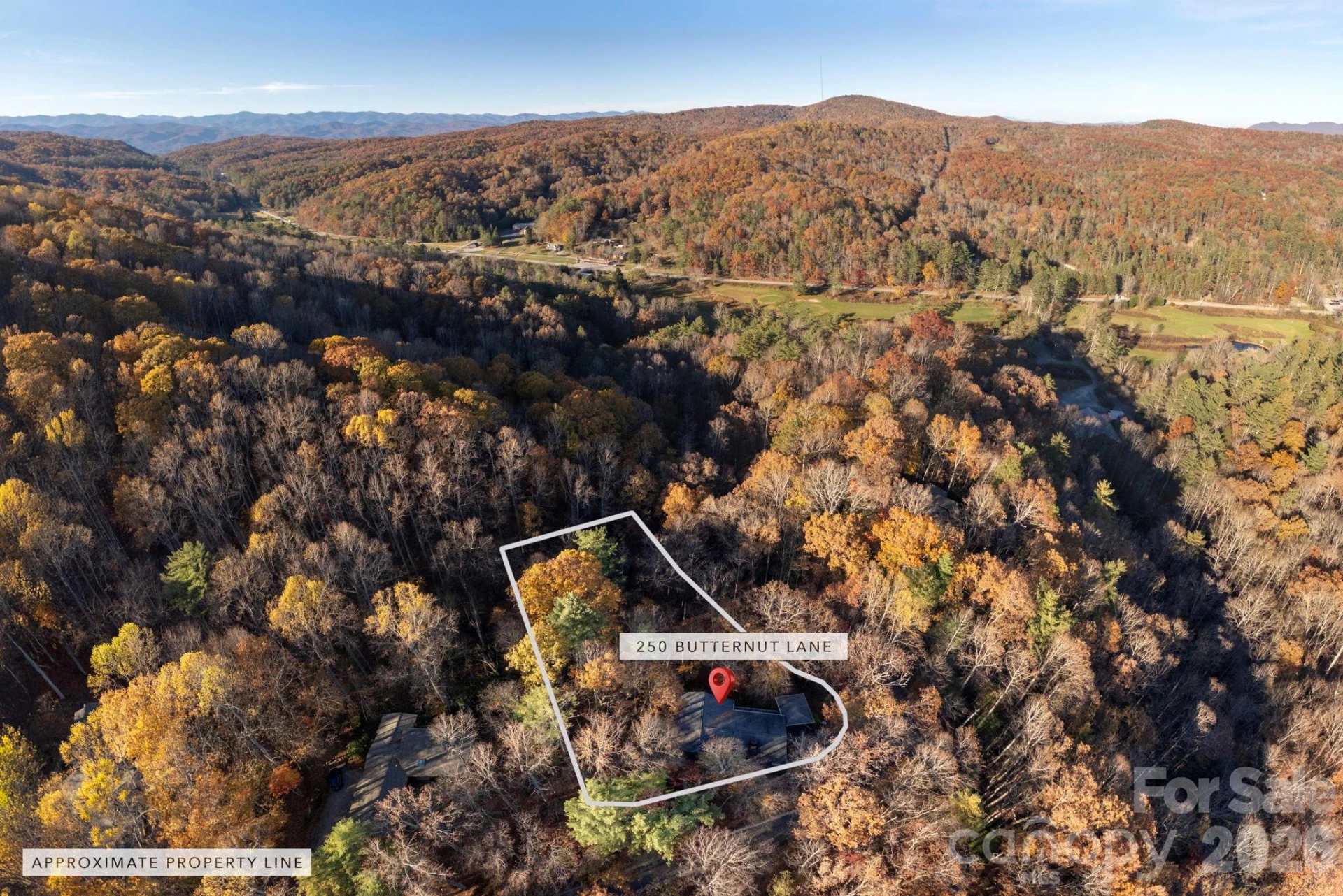 250 Butternut Lane - Photo 40