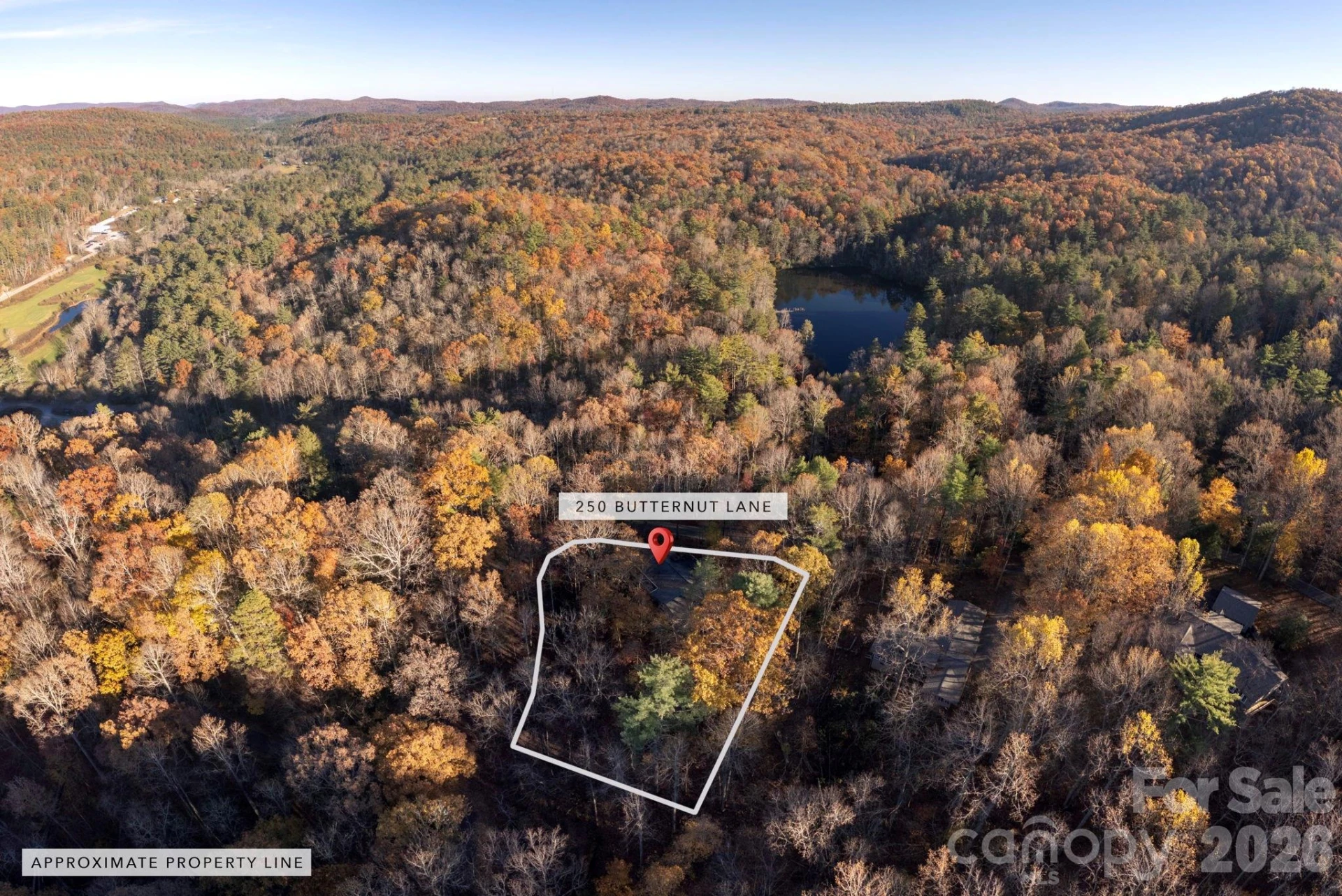 250 Butternut Lane - Photo 41
