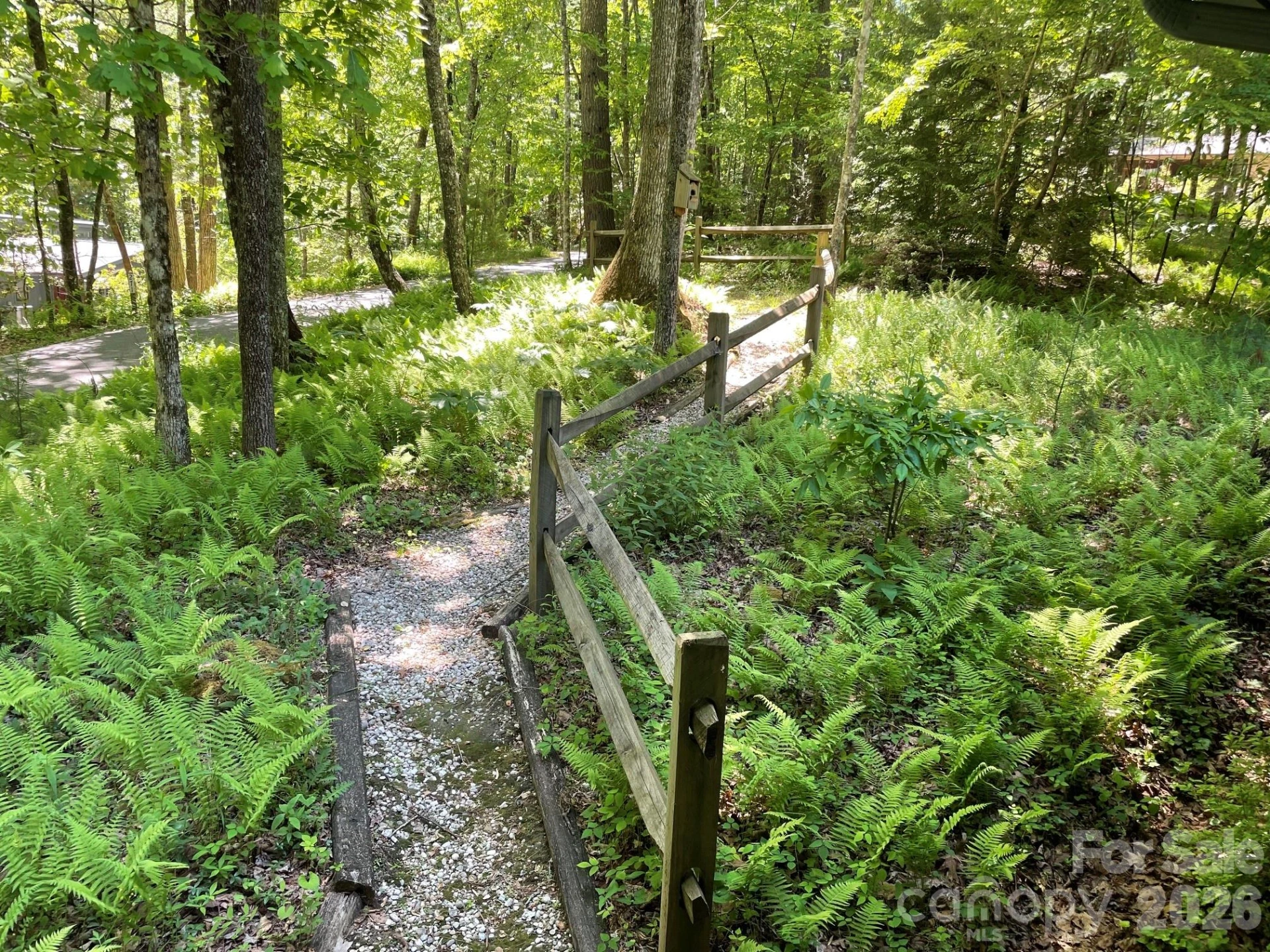 250 Butternut Lane - Photo 42
