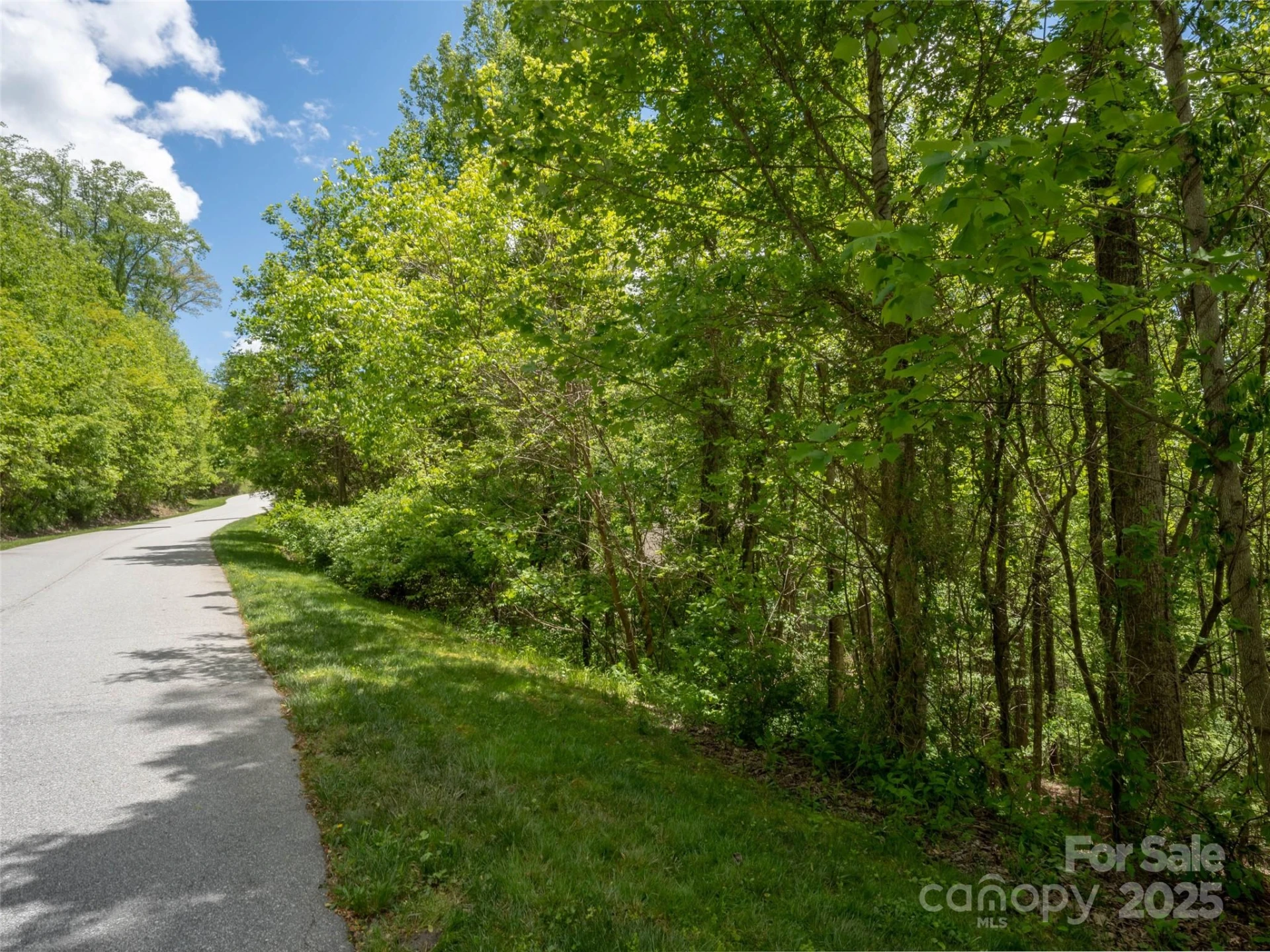 26 Fall Mountain Road #58 - Photo 15