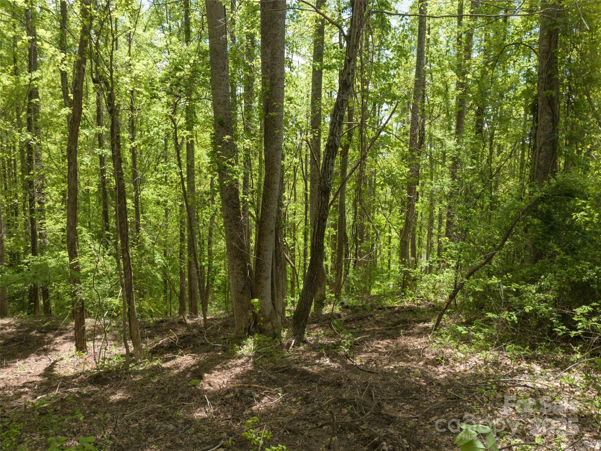 26 Fall Mountain Road #58 - Photo 5