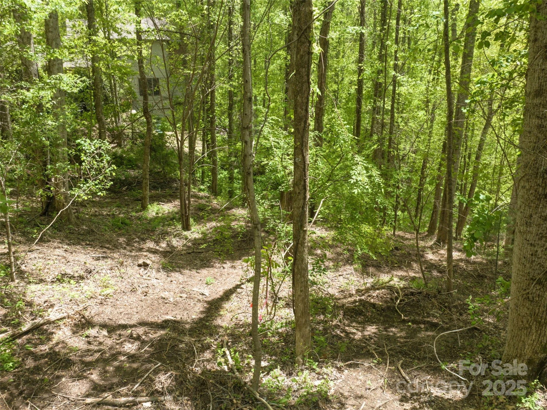 26 Fall Mountain Road #58 - Photo 7