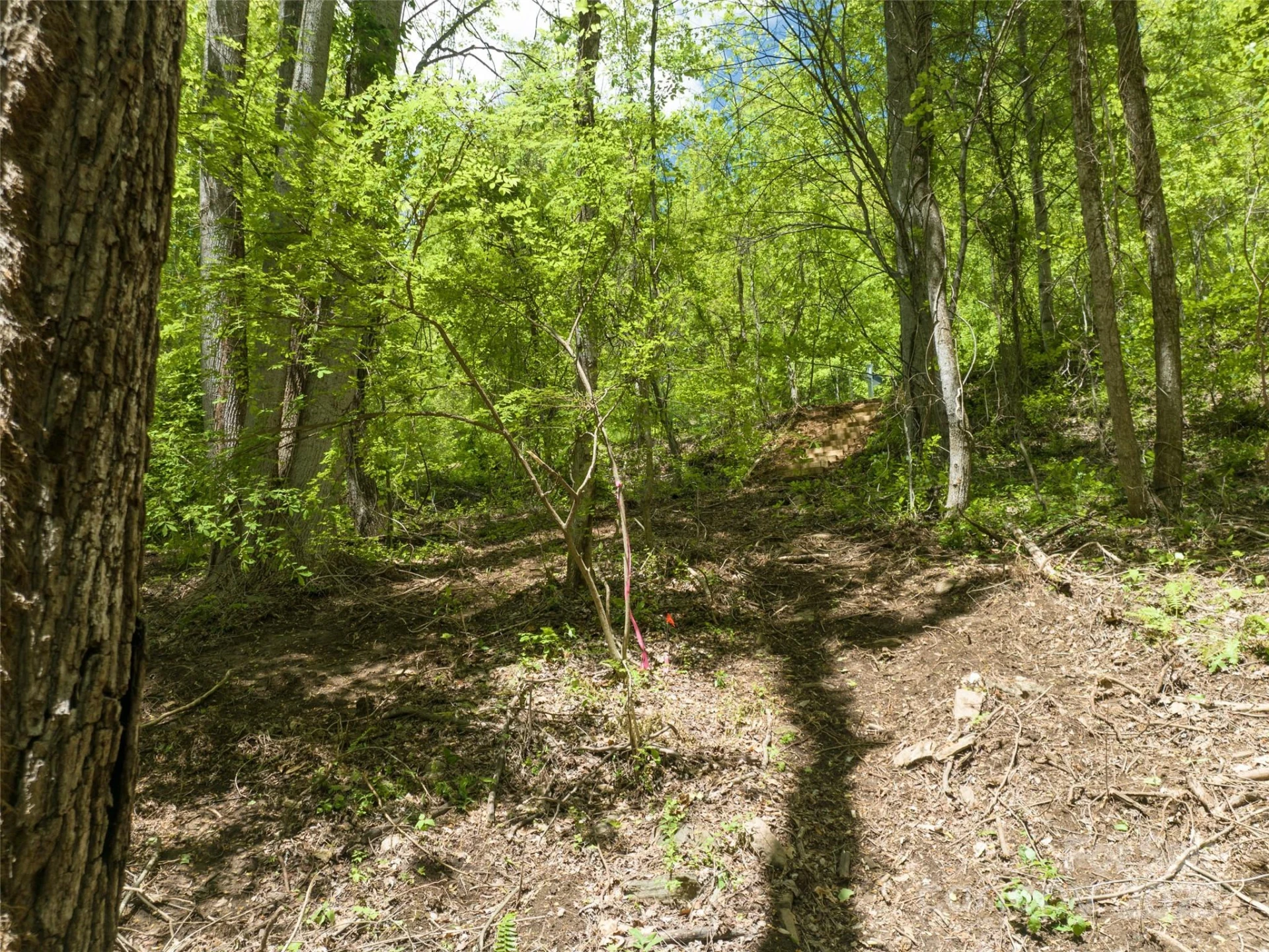 26 Fall Mountain Road #58 - Photo 10