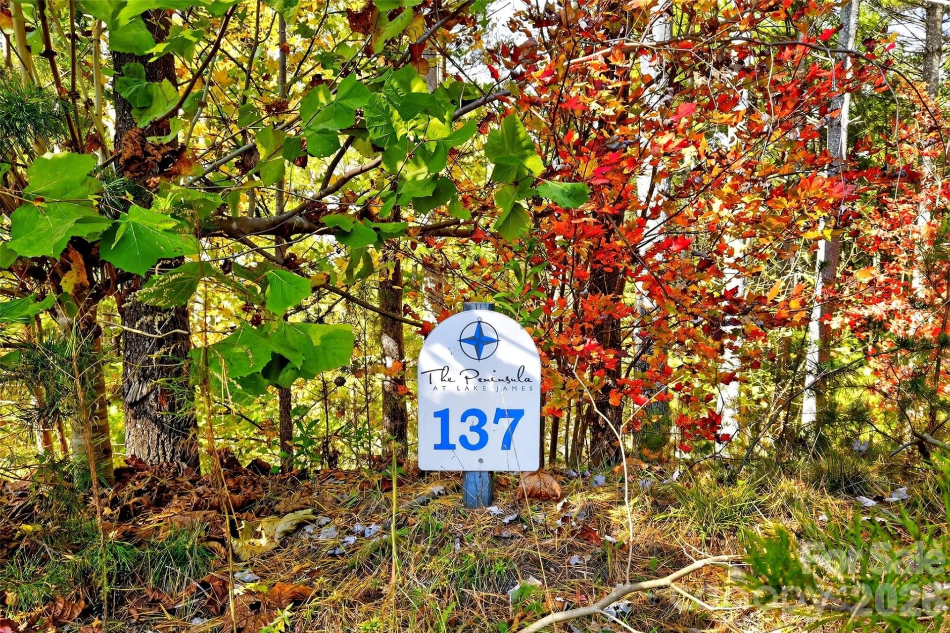 0 West Point Drive - Photo 2
