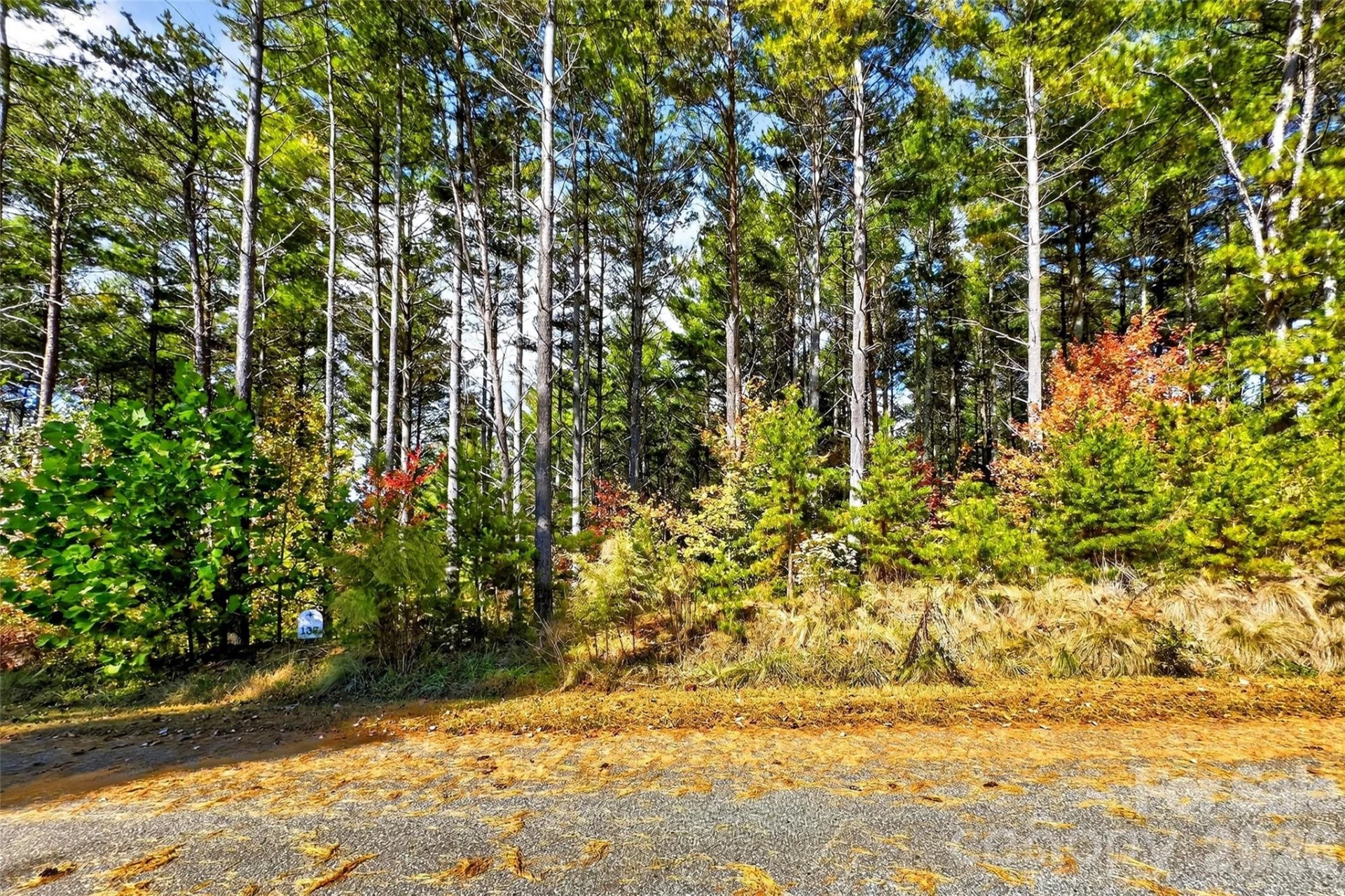 0 West Point Drive - Photo 15