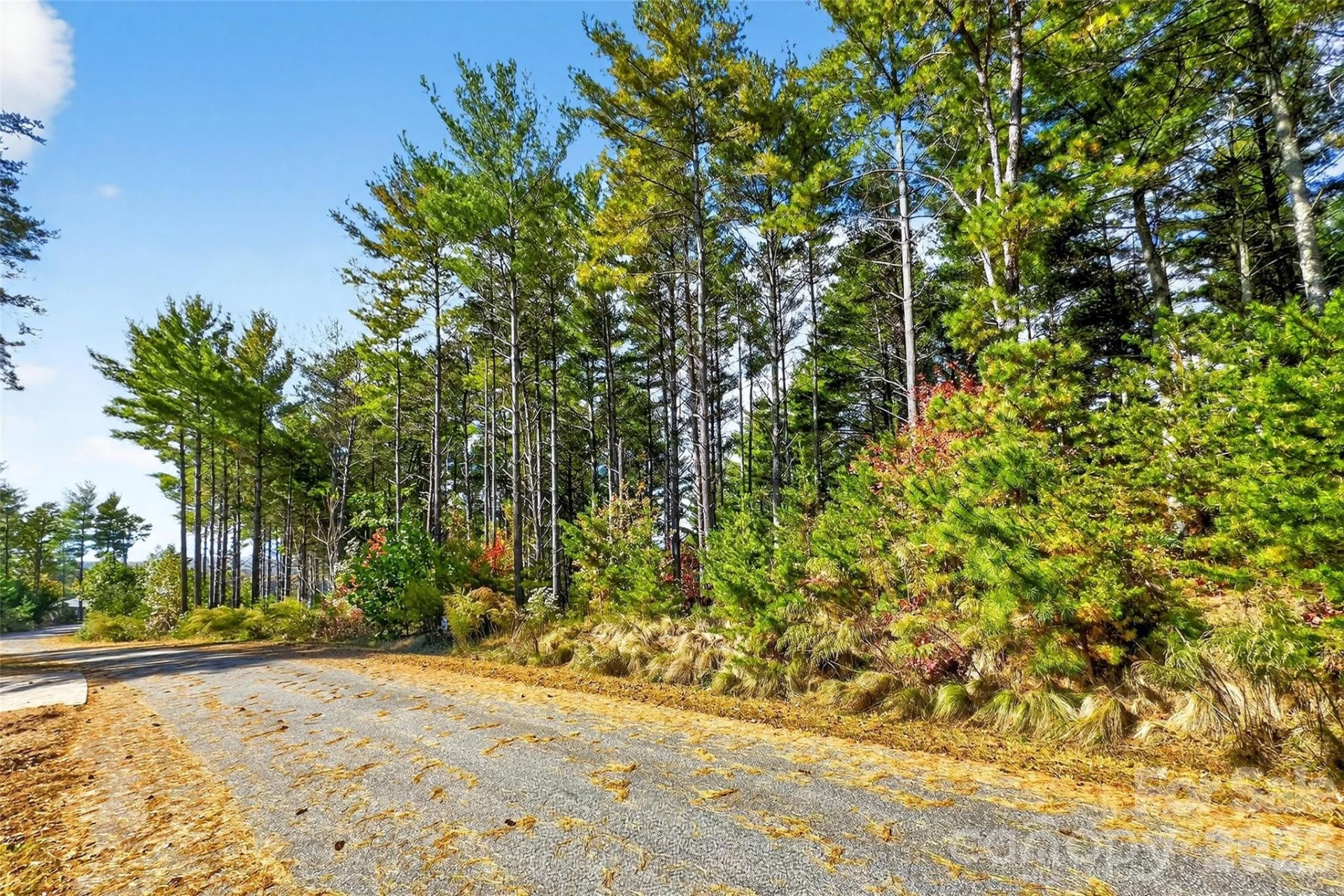 0 West Point Drive - Photo 16