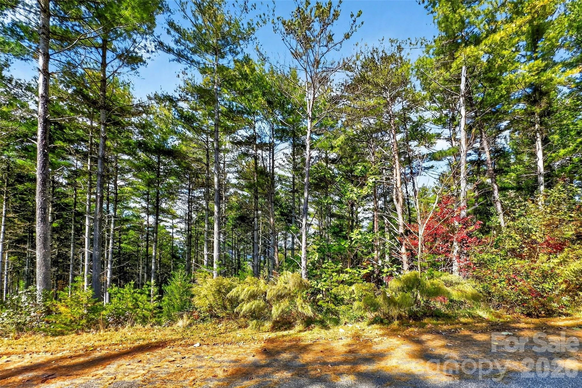 0 West Point Drive - Photo 17