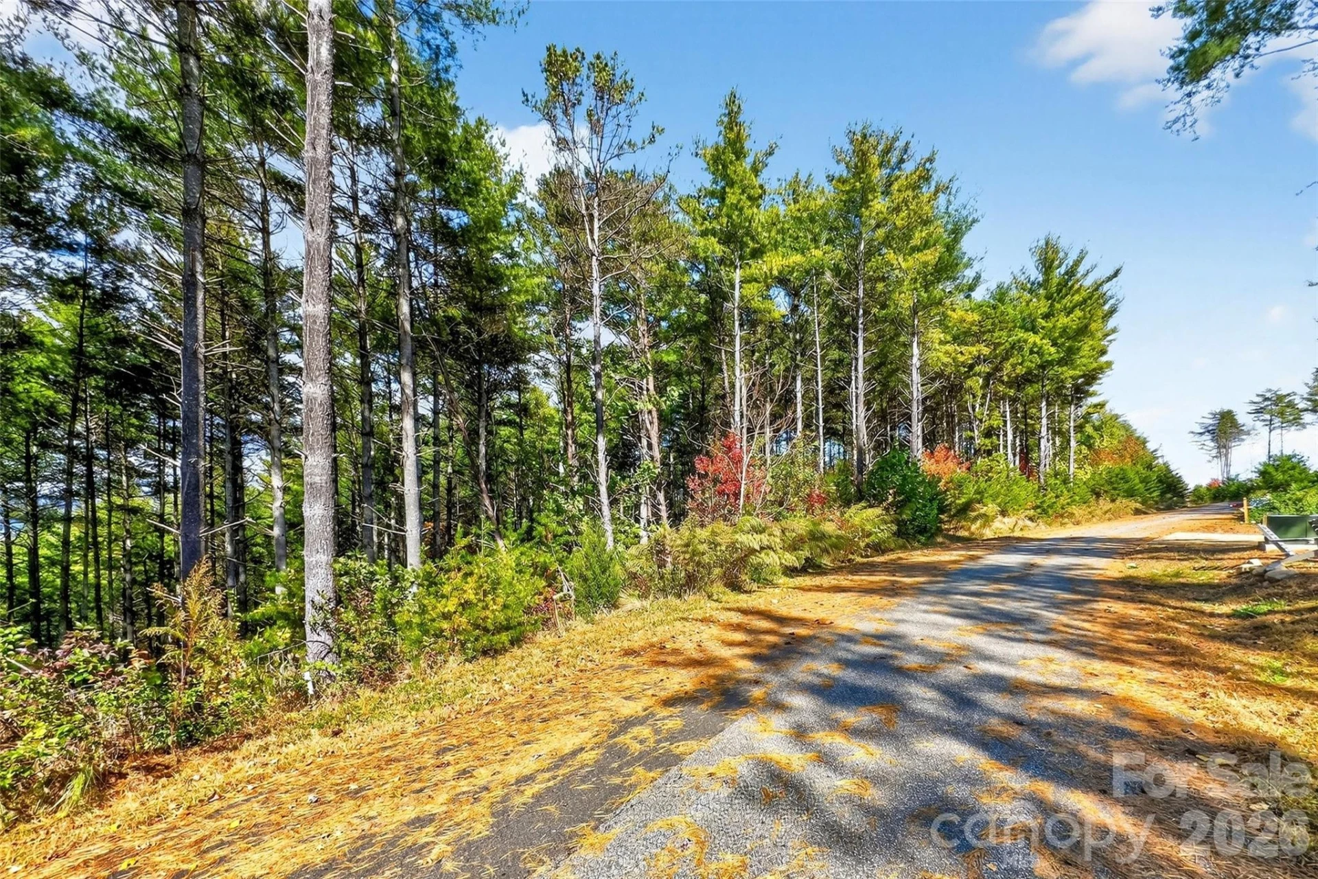 0 West Point Drive - Photo 18