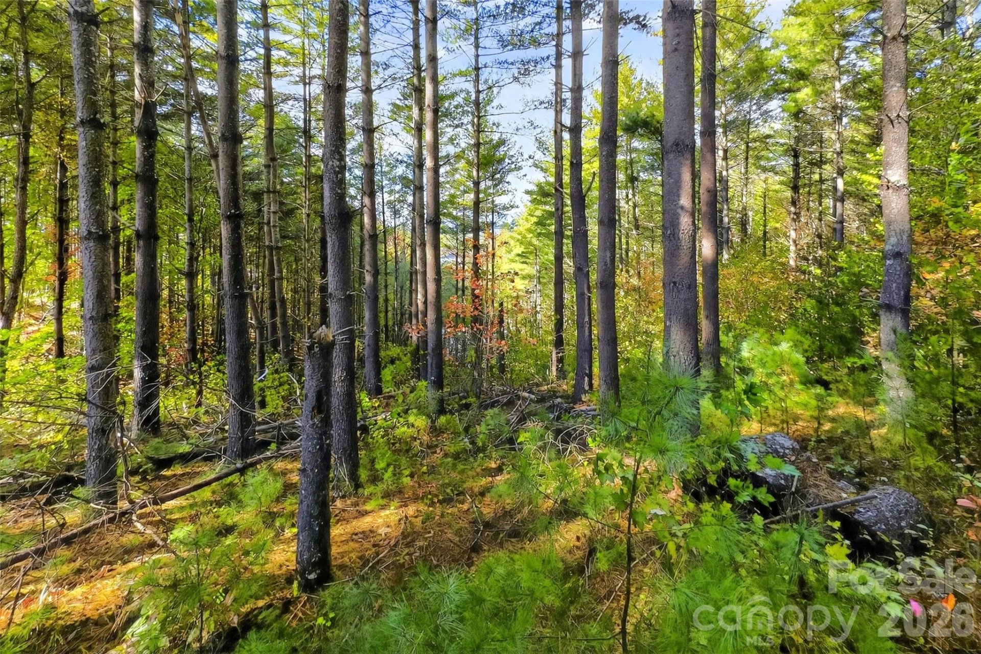 0 West Point Drive - Photo 4