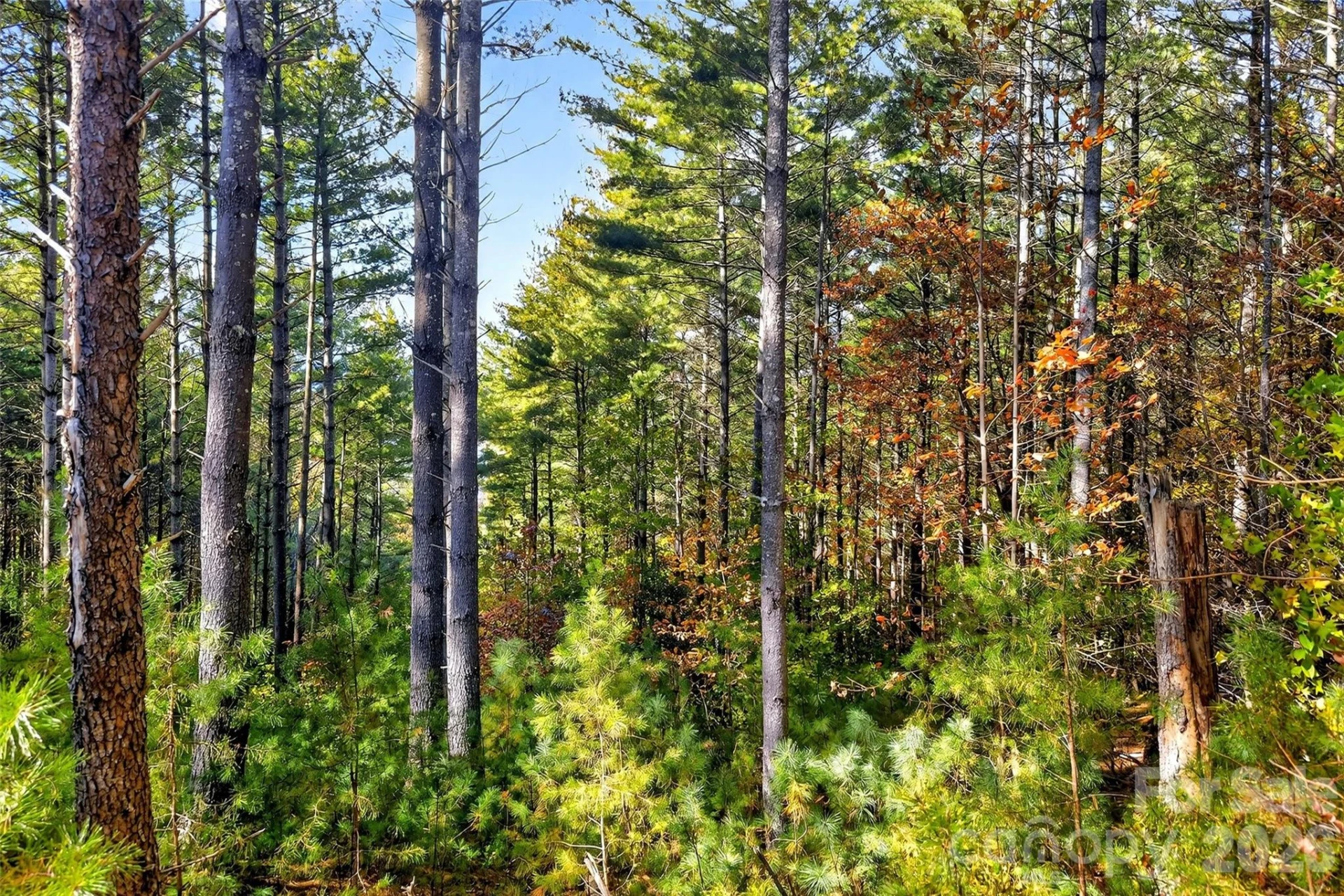 0 West Point Drive - Photo 9