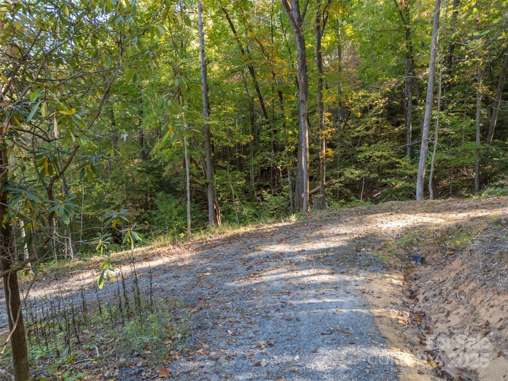 3298 Buffalo Creek Road - Photo 12