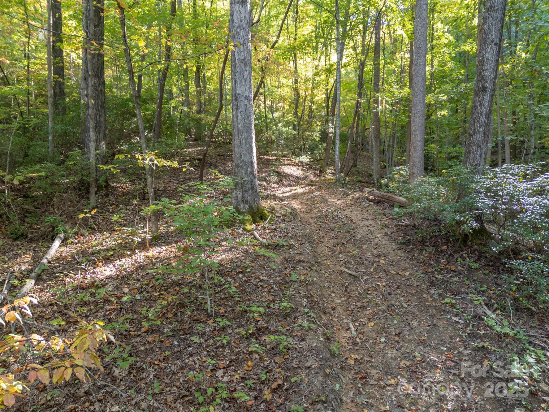 3298 Buffalo Creek Road - Photo 13