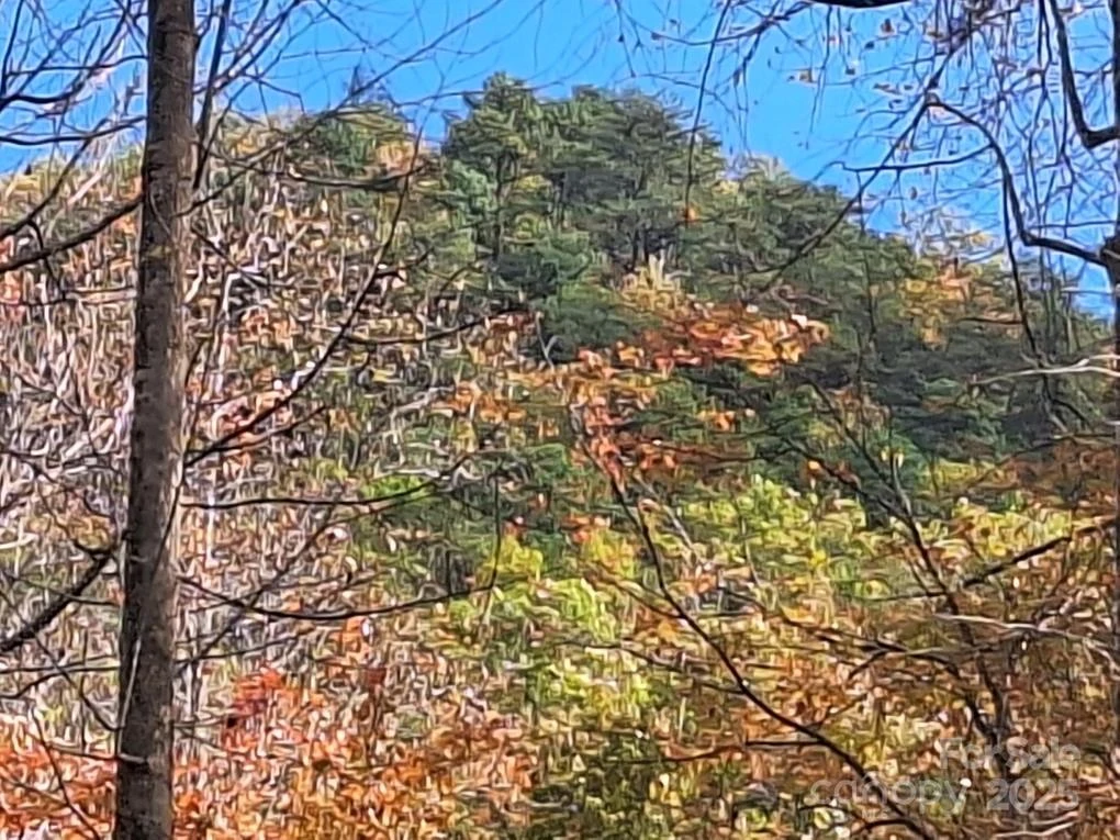 3298 Buffalo Creek Road - Photo 20