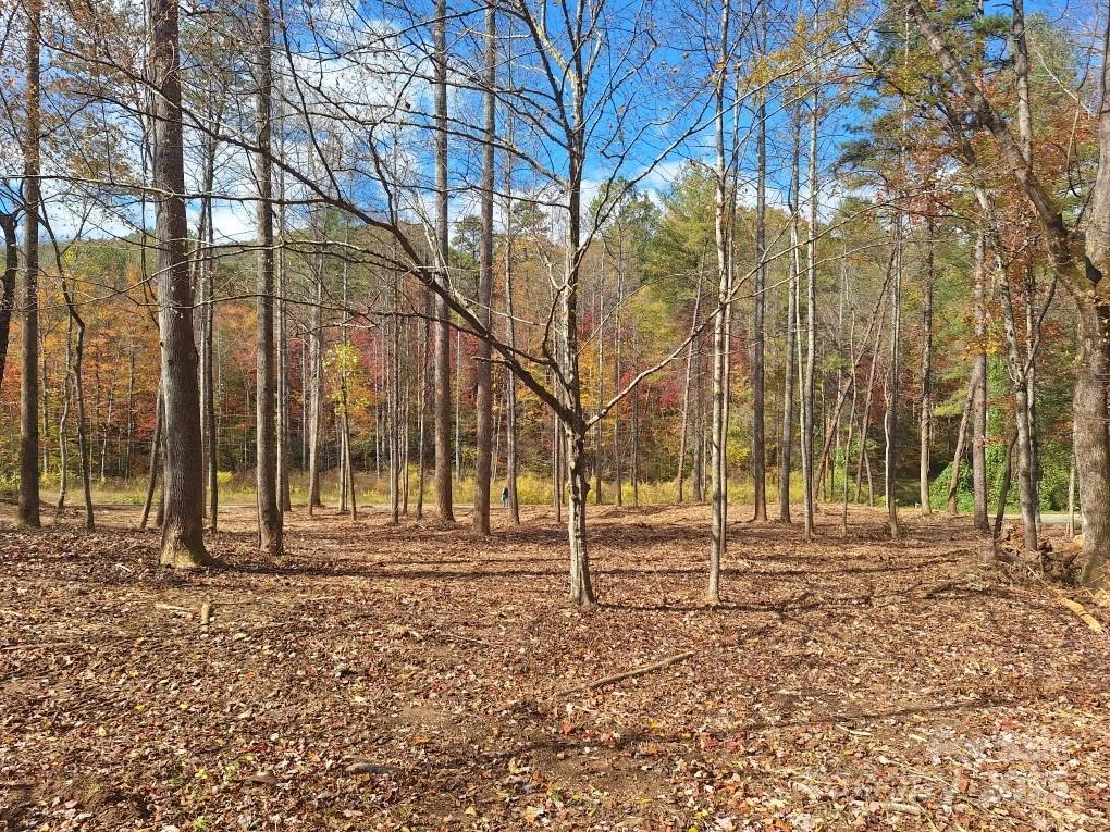 3298 Buffalo Creek Road - Photo 24