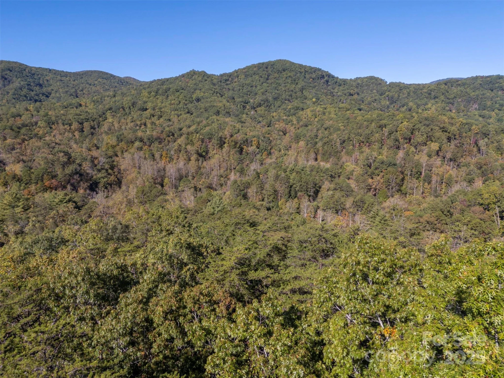 3298 Buffalo Creek Road - Photo 5